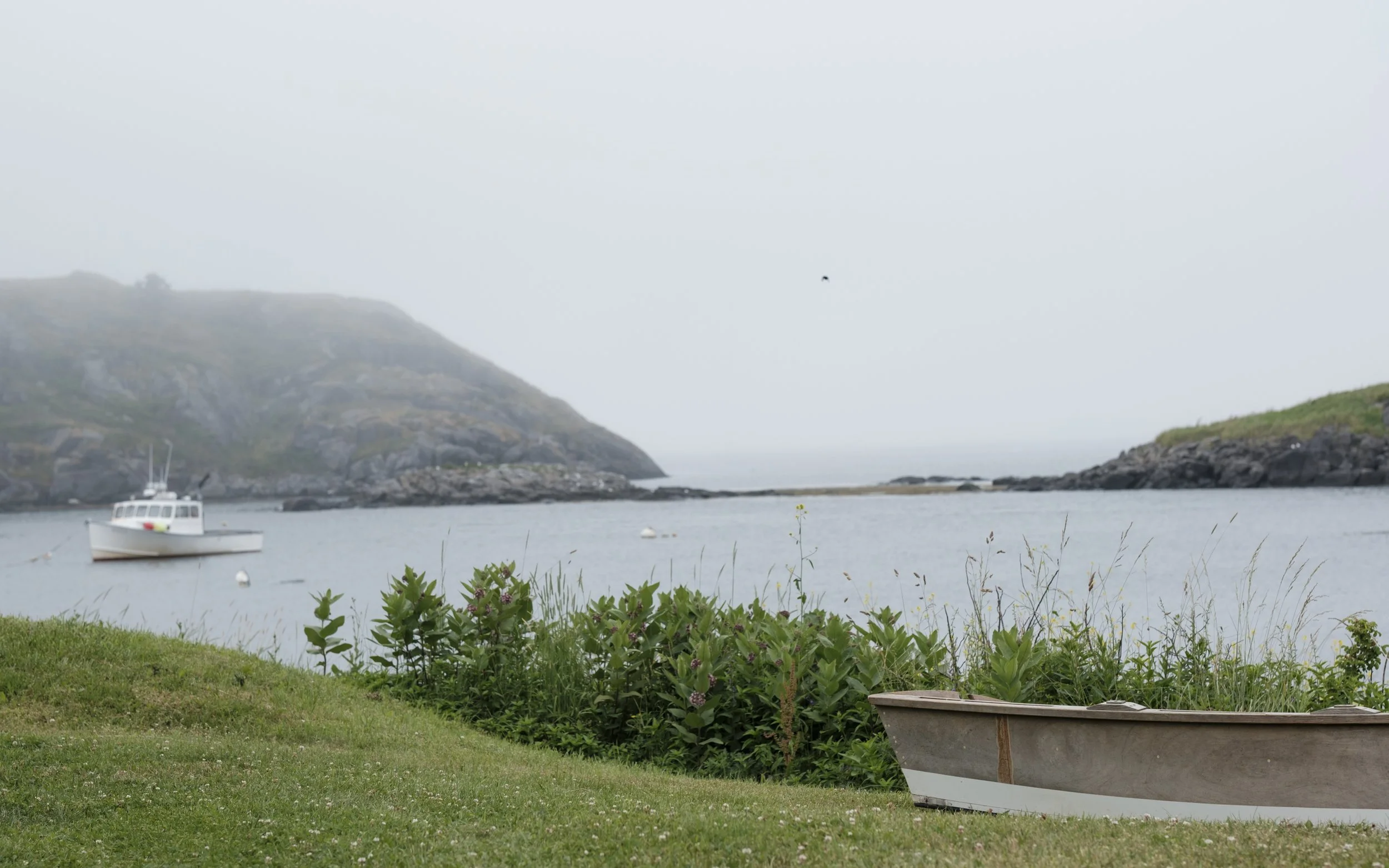 DSCF1701.jpg