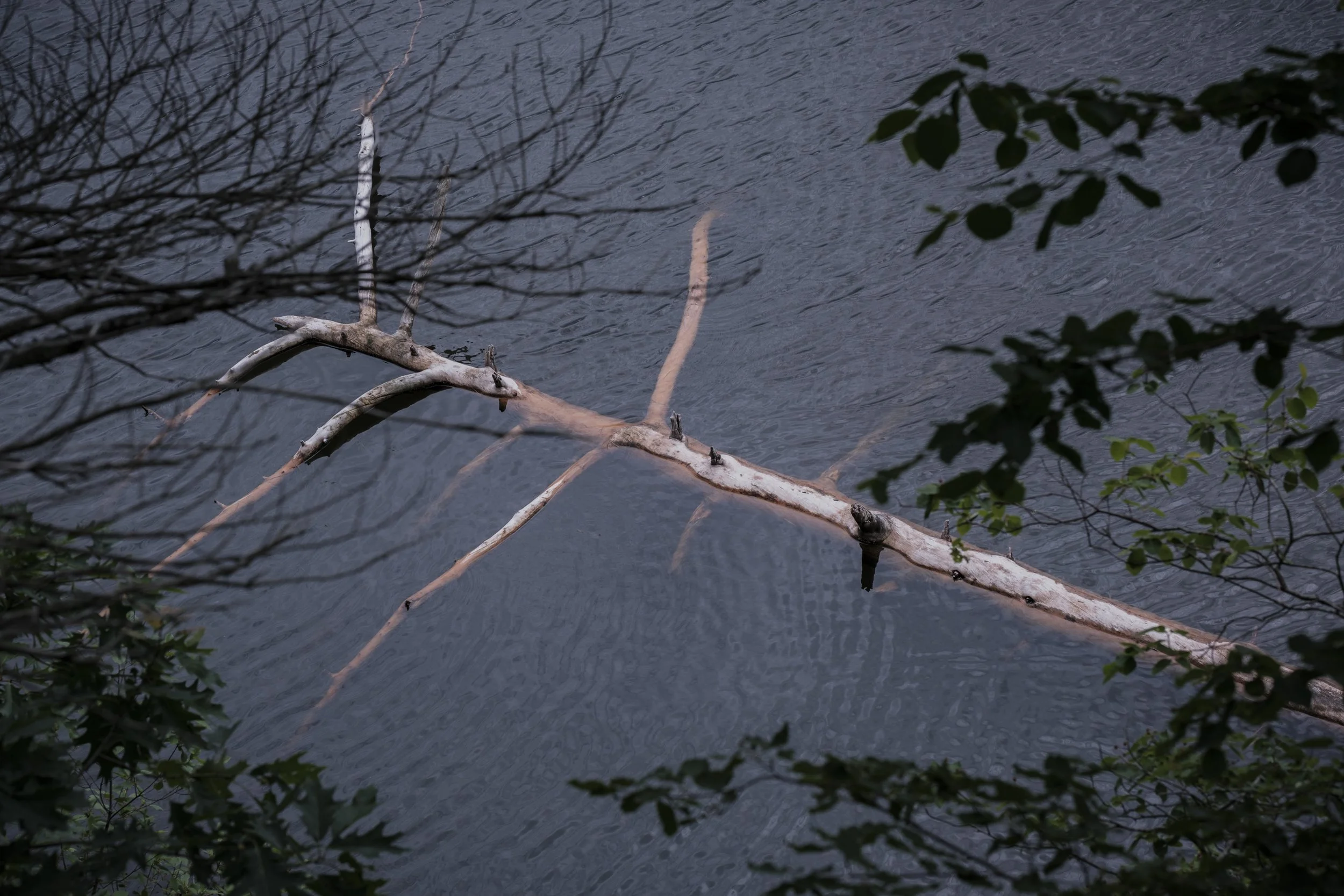 DSCF7167.jpg