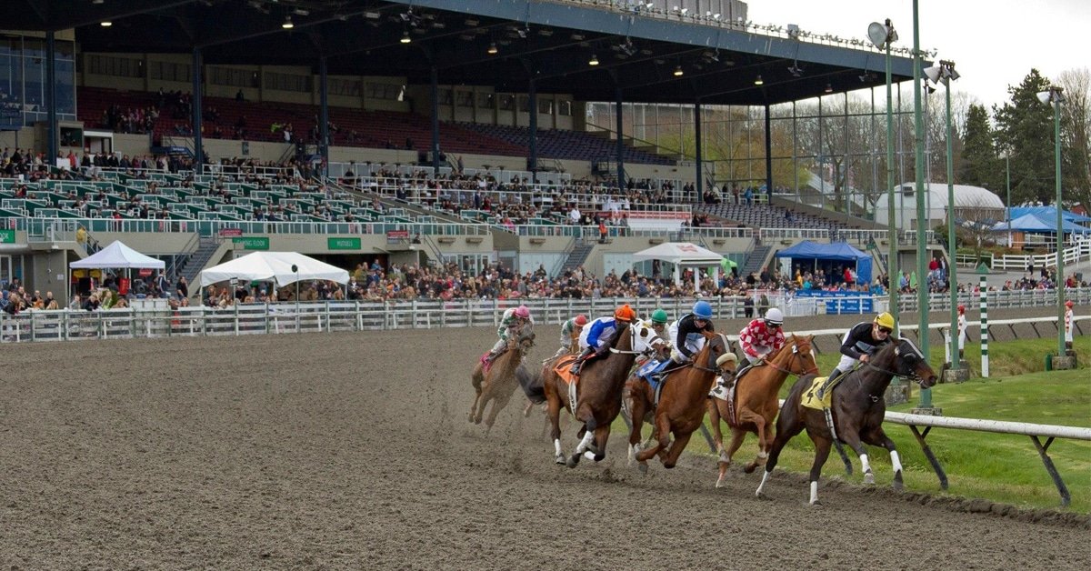 hastings racetrack.jpeg