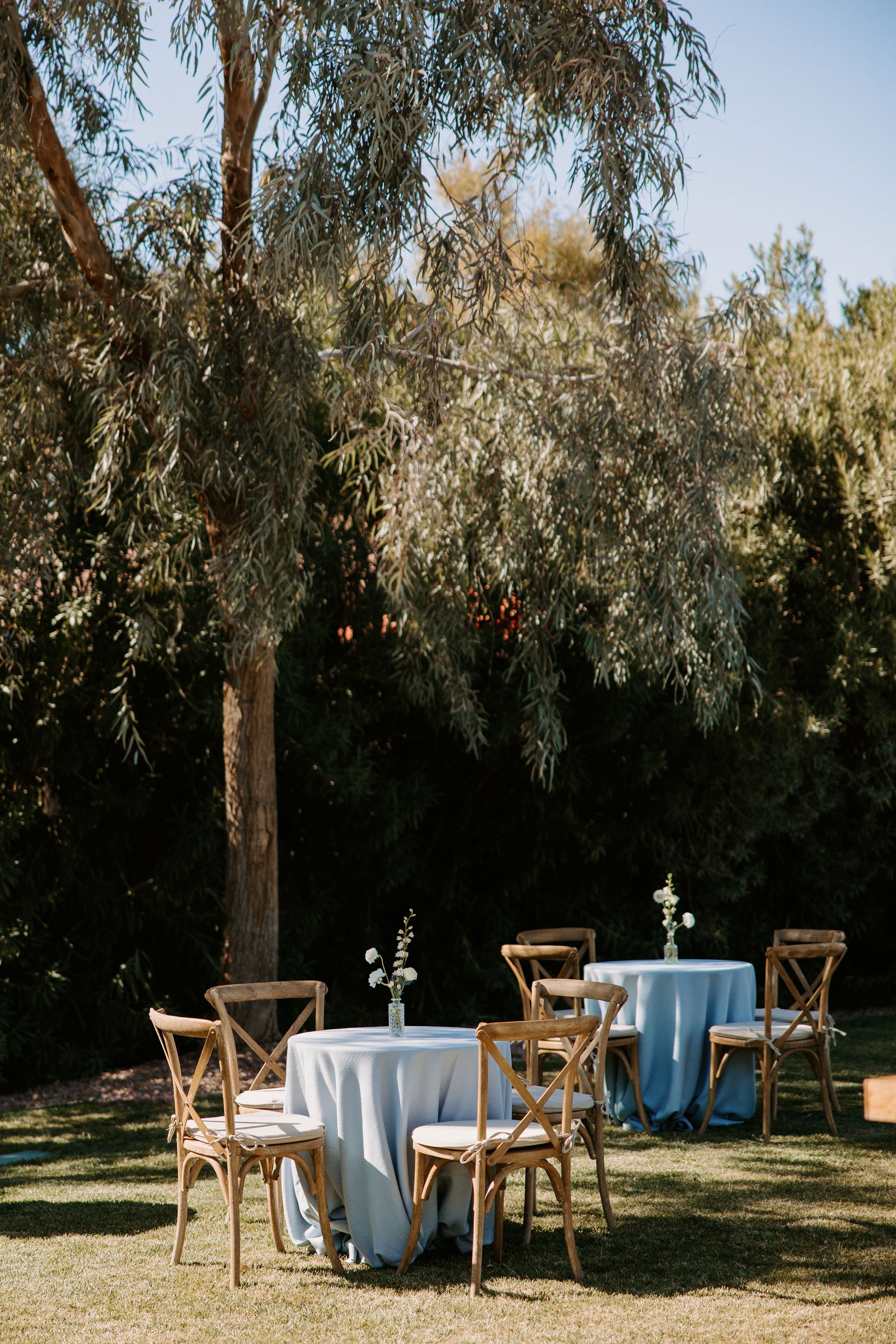 Lotus House Events