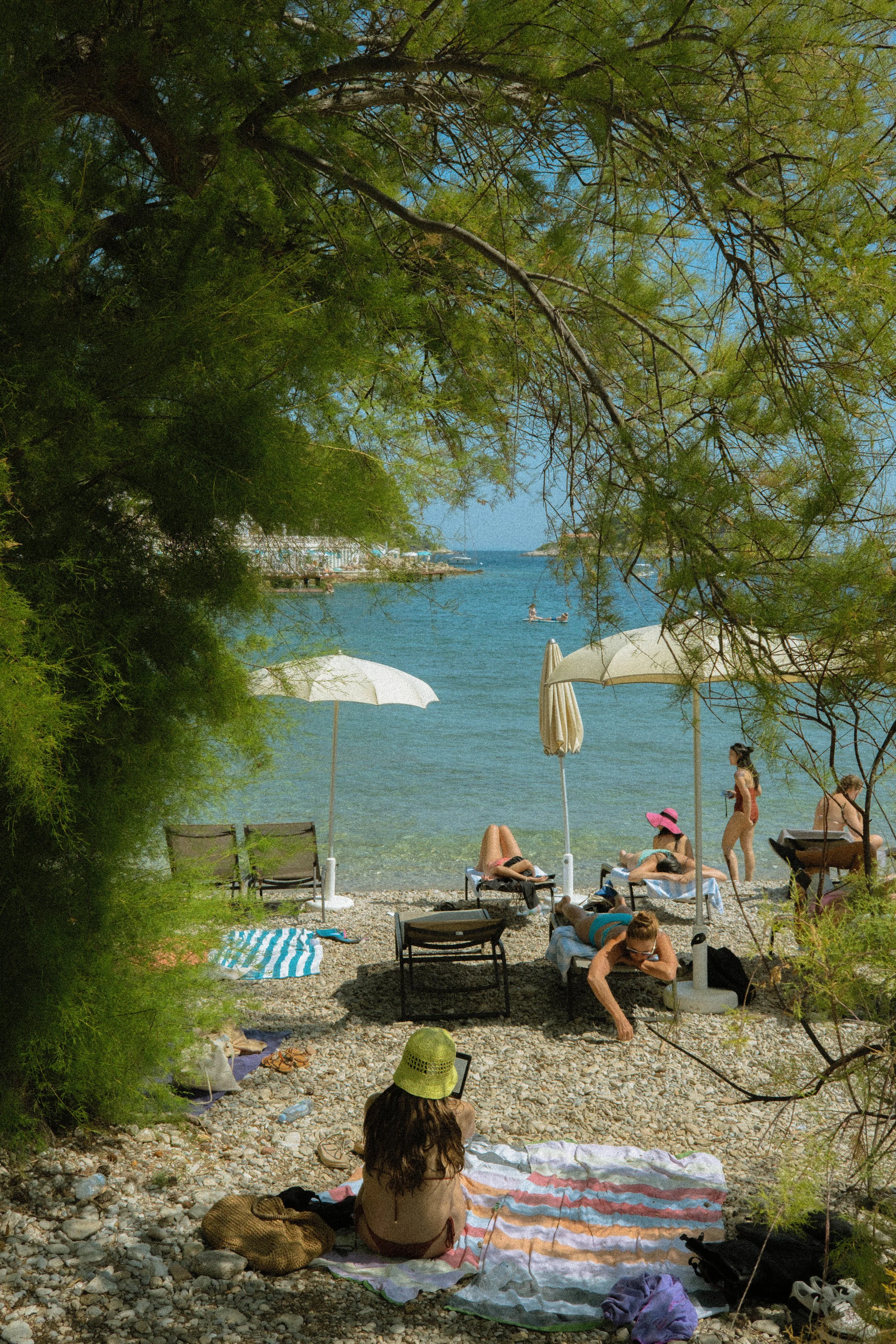 DSCF5625.jpg