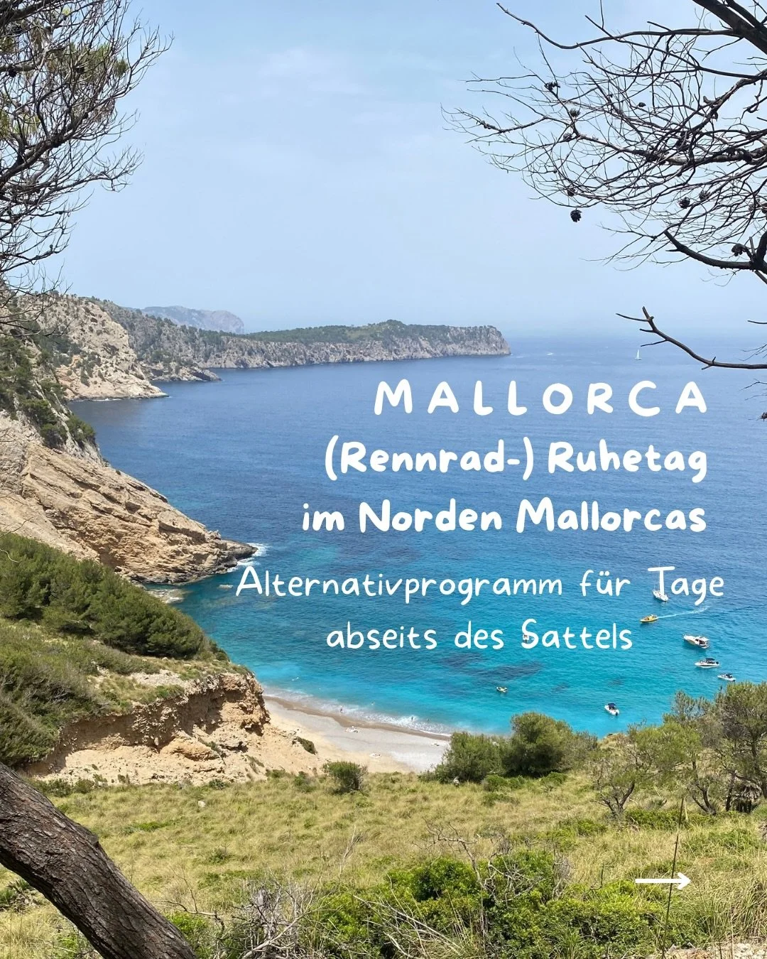 Rennrad-Ruhetag auf Mallorca? 🦦
Manche fahren 110 km an ihrem &bdquo;Ruhetag&ldquo;. Ich bin da eher Typ: durch die Stadt schlendern, lecker essen, Kaffee trinken, Zimtschnecken inhalieren und am besten einfach treiben lassen. 😌 

#fuchsdichraus #m