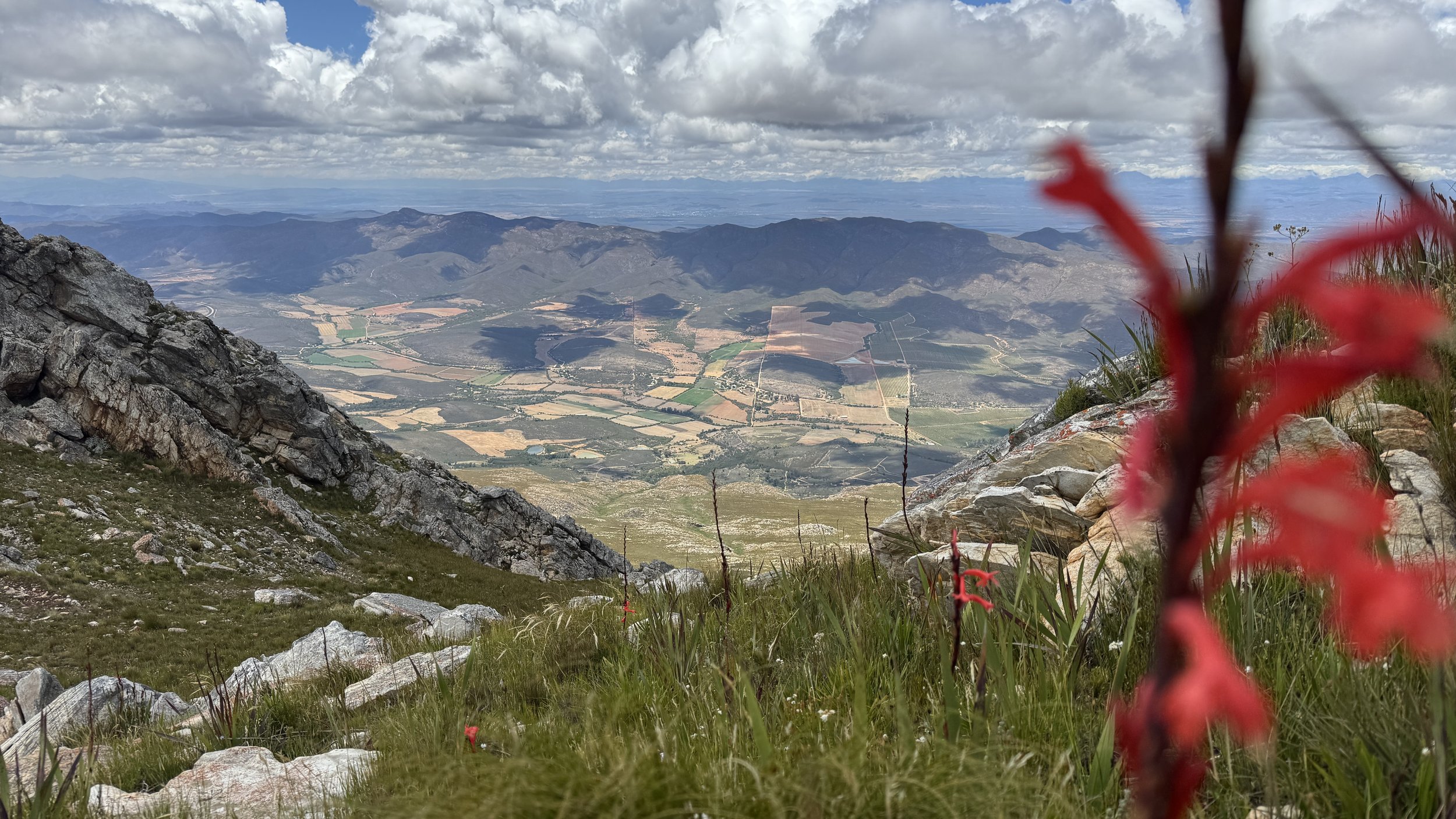 Blick ins Swartberg Nature Reserve