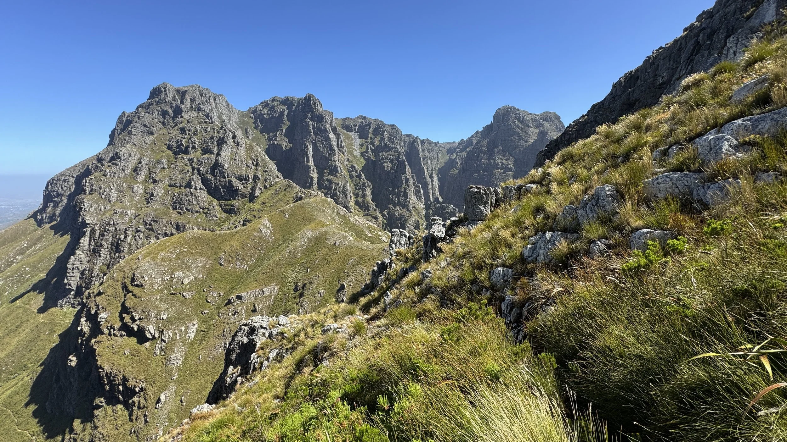 Blick Richtung Berge im Jonkershoek Nature Reserve