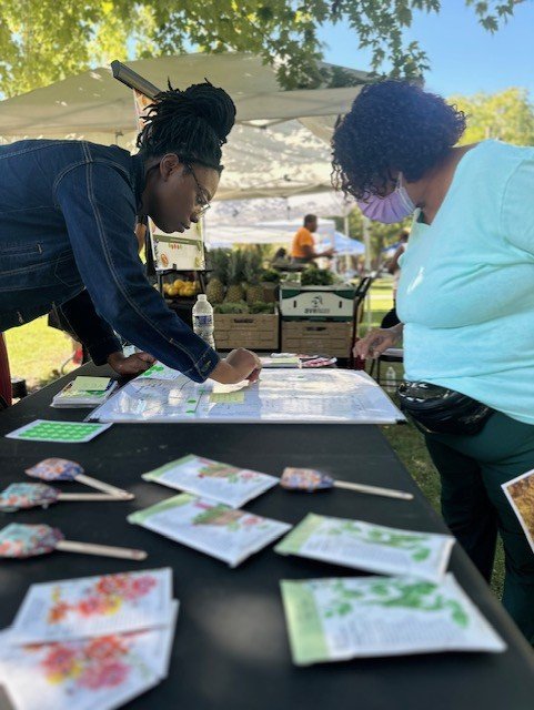 LifeSpring in Austin