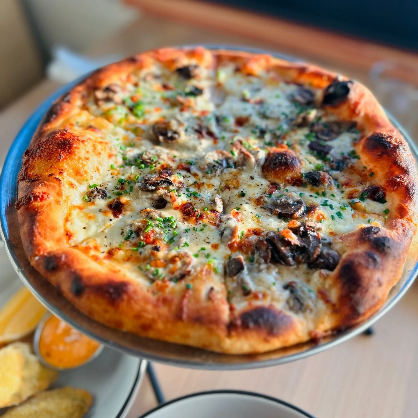Who else is feeling like a Fun Guy Friday? 🍄&zwj;🟫🍕

#ghpastapizza // #generalharvestseattle 
.
.
.
#seattlefoodie #seattlefood #seattle #seattleeats #foodie #bestfoodseattle #instafood #eatseattle #seattlefoodies #pnw #food #seattlefoodscene #foo
