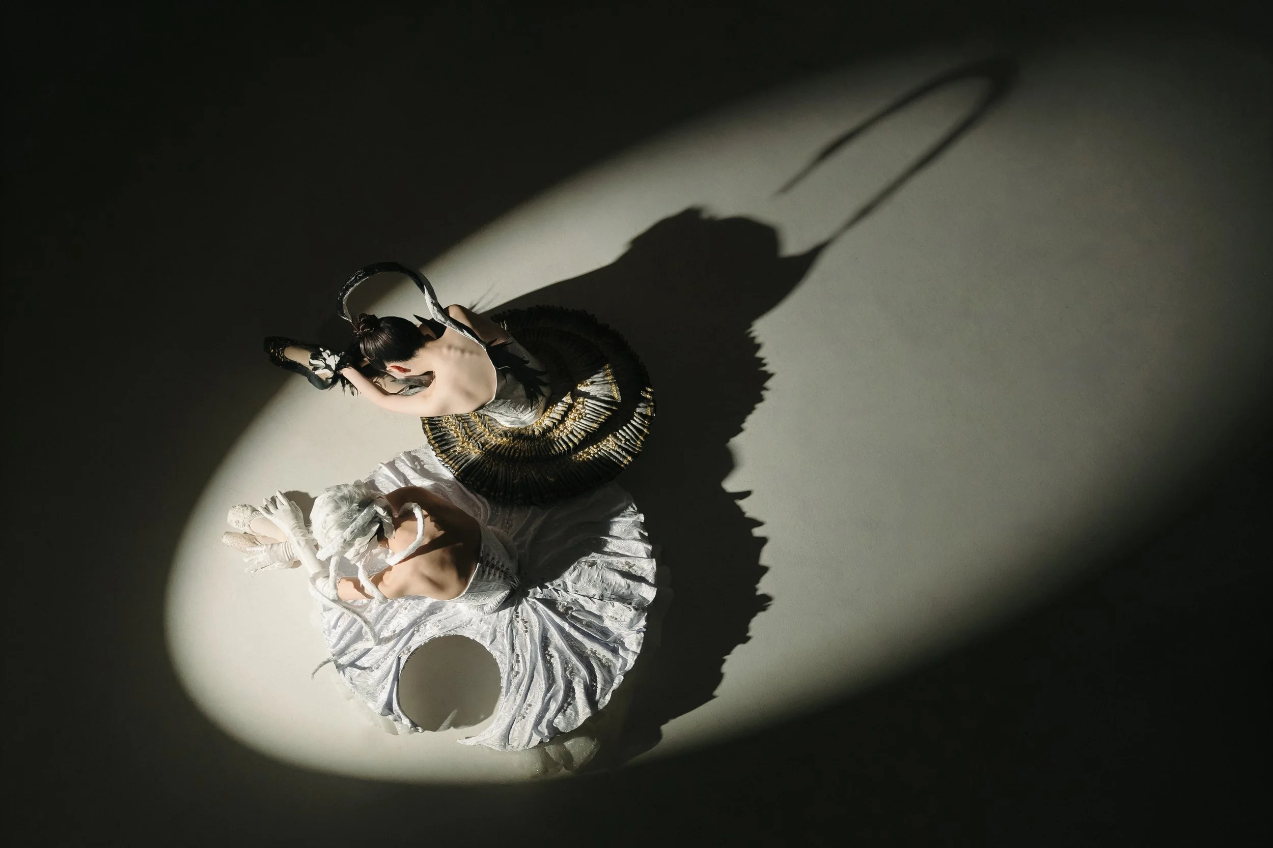 20250929 Swan_2585.jpg