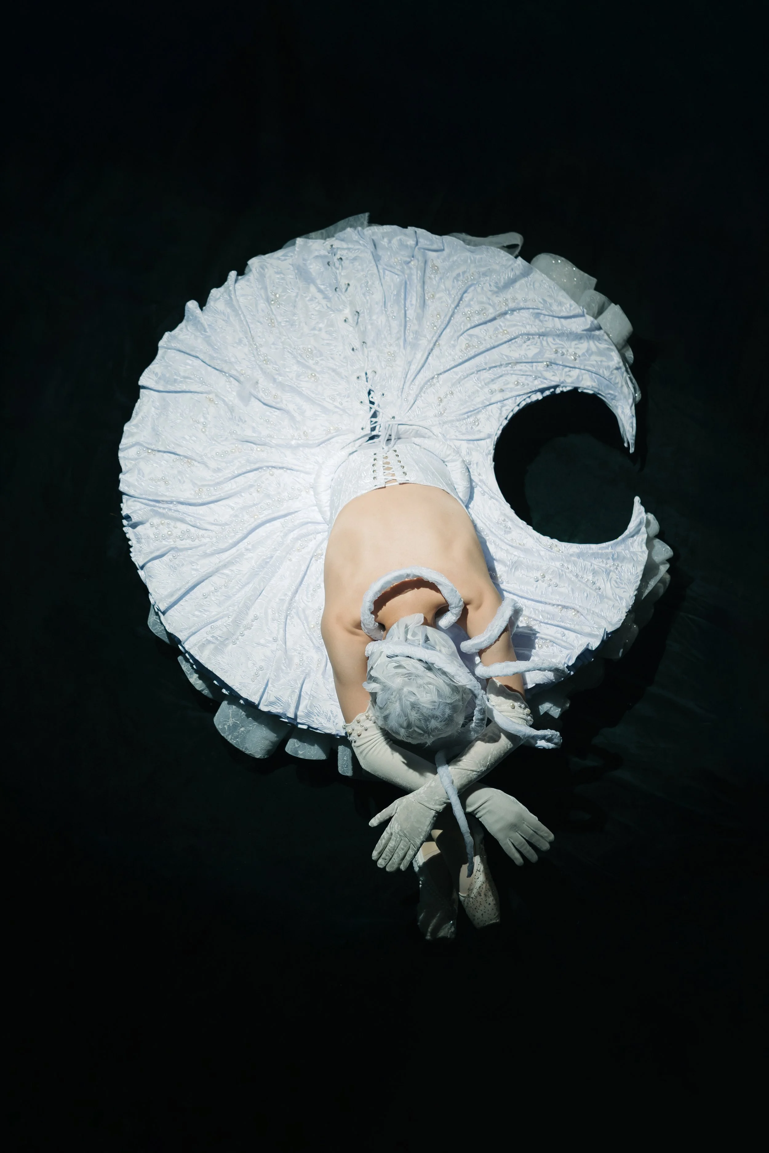 20250929 Swan_2321.jpg