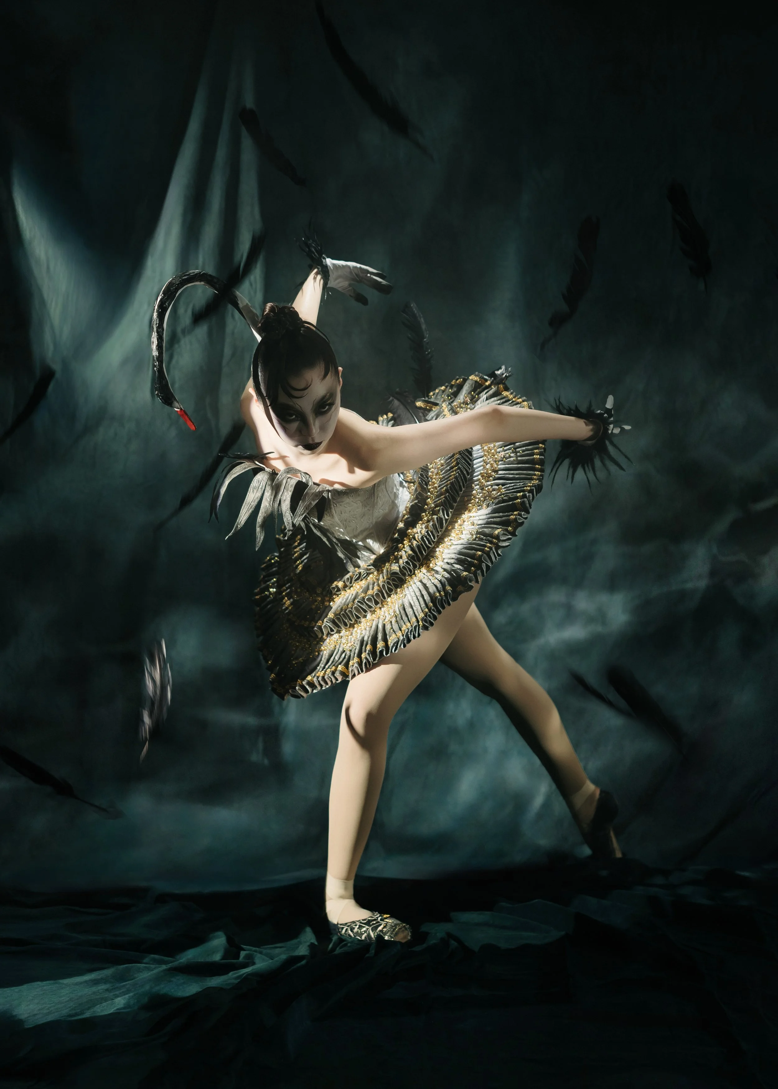 20250929 Swan_1943.jpg