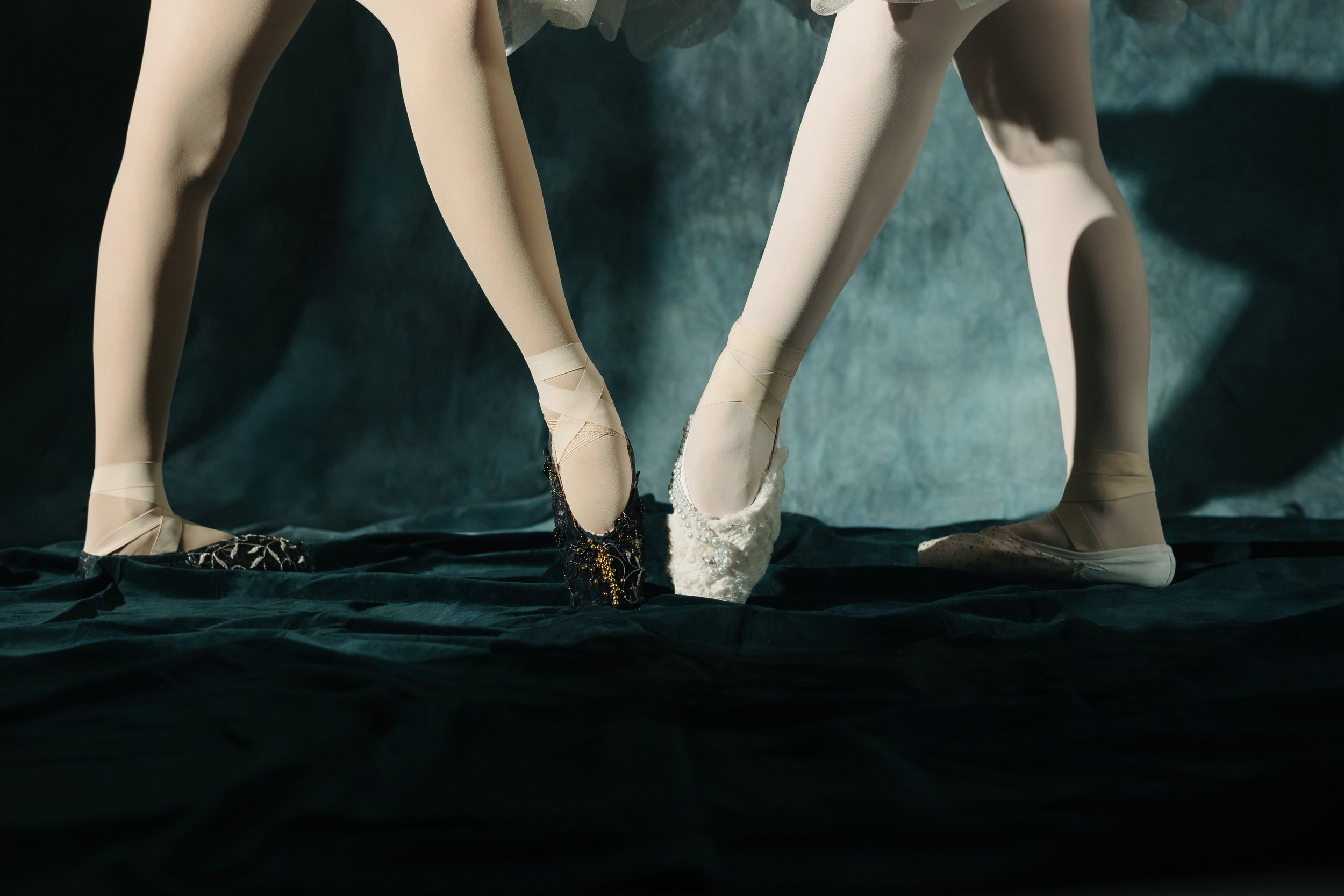 20250929 Swan_2450.jpg