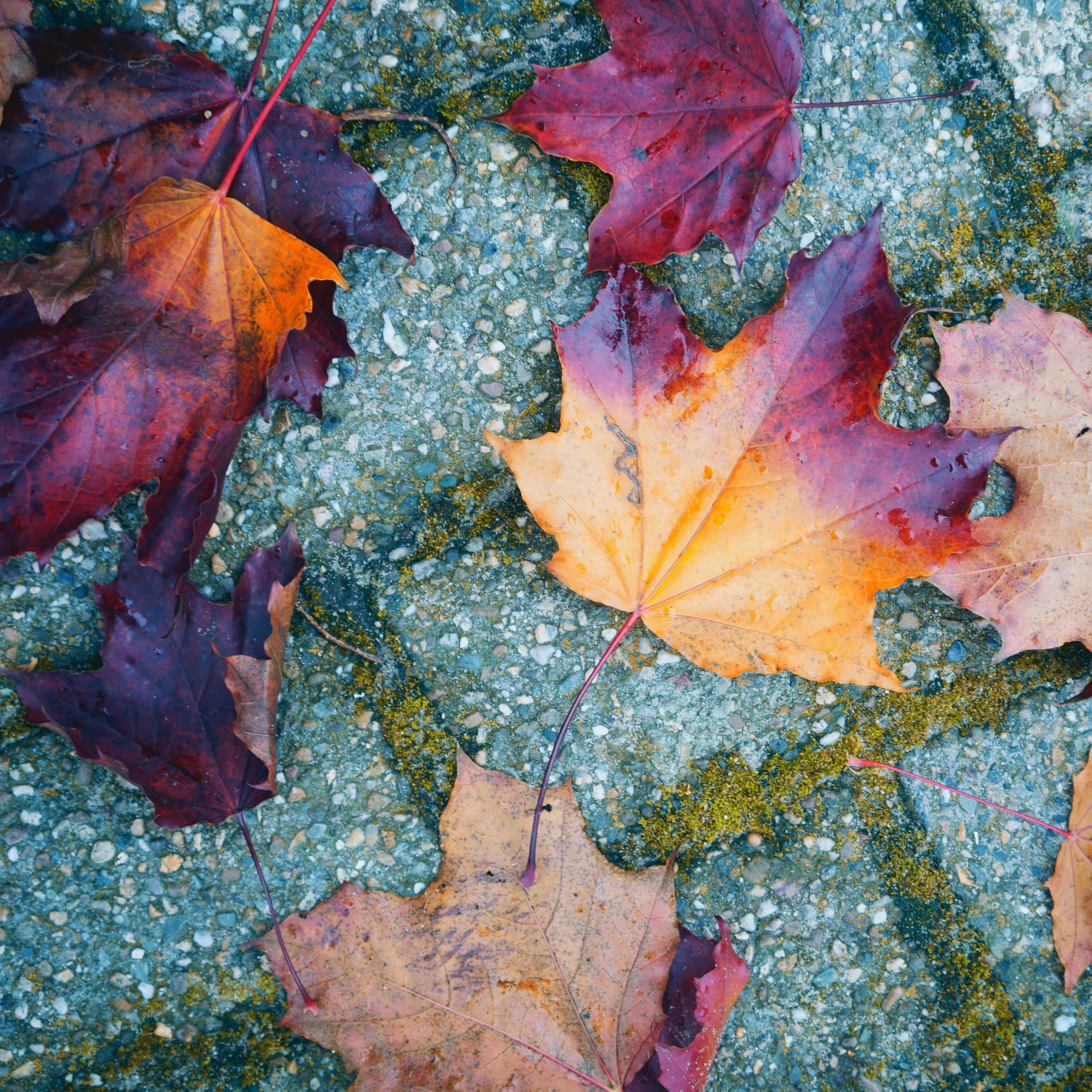 E70: Can People Change?