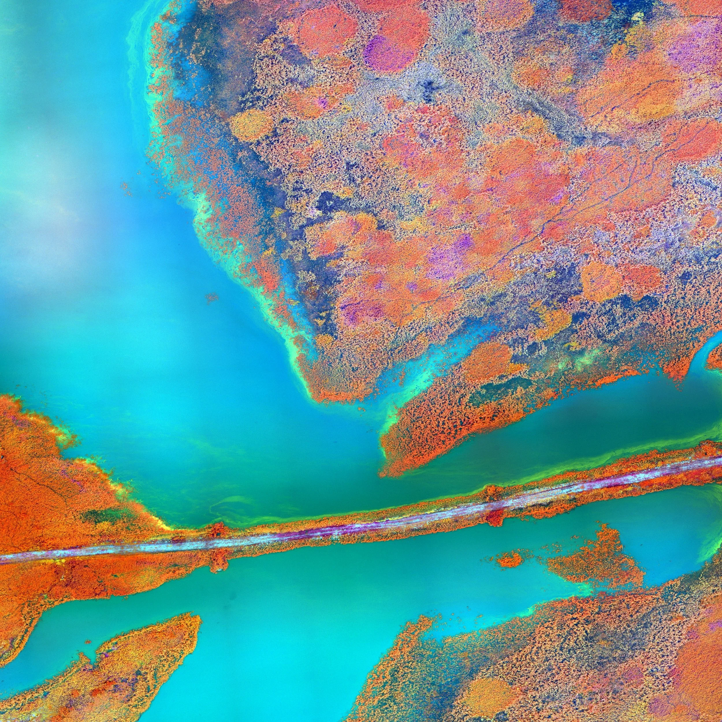 E75: A Candid Covid Convo