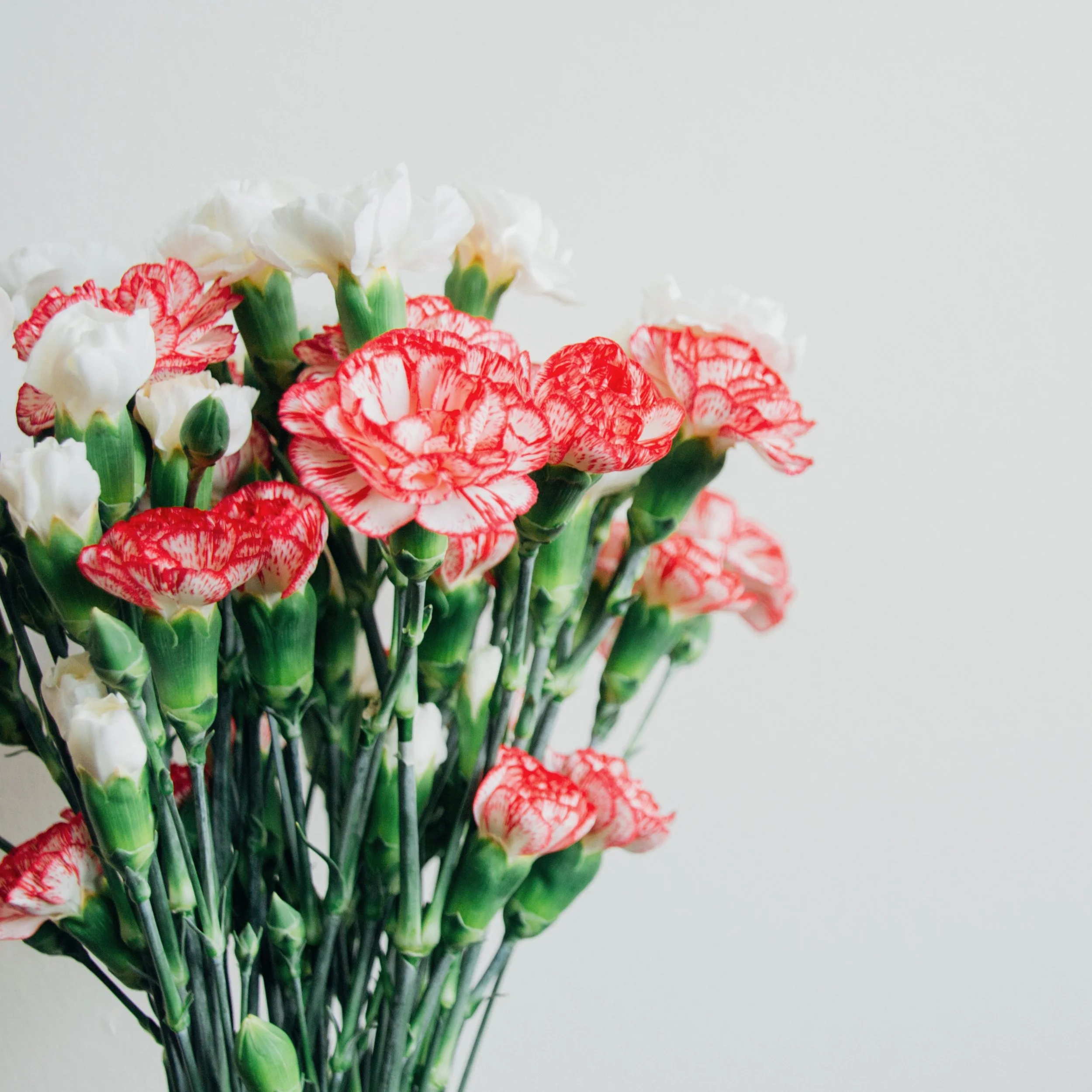 Signs Are Everywhere: An Angelic Encounter