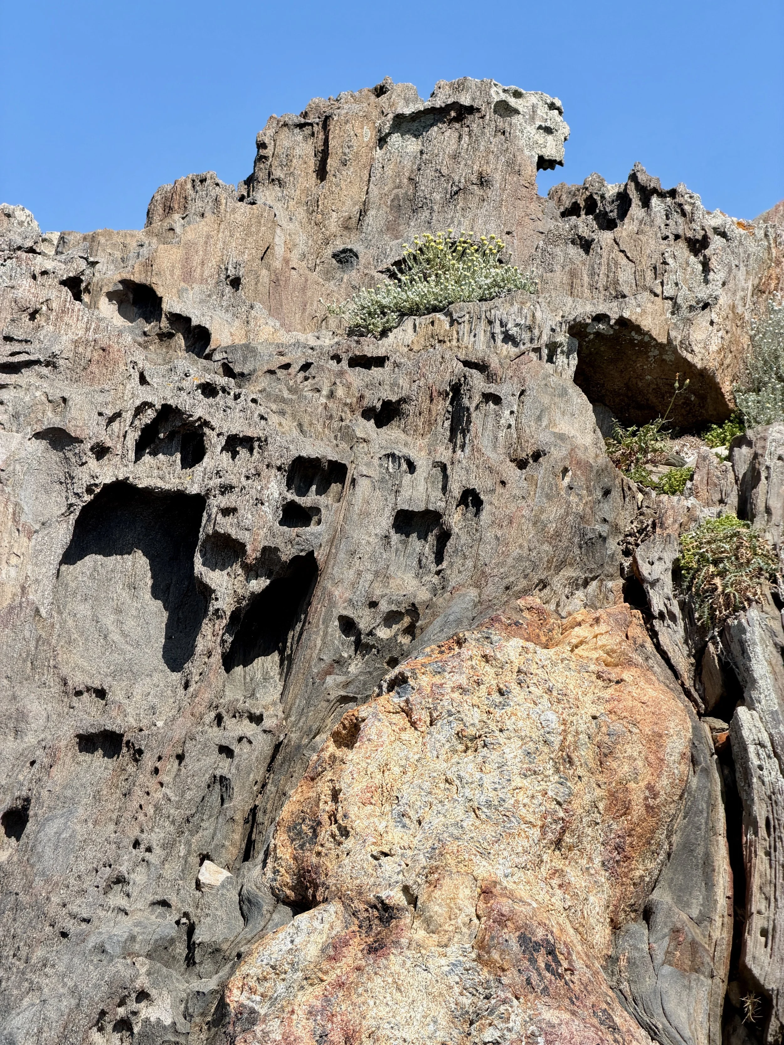 Stone Heads-2.jpeg