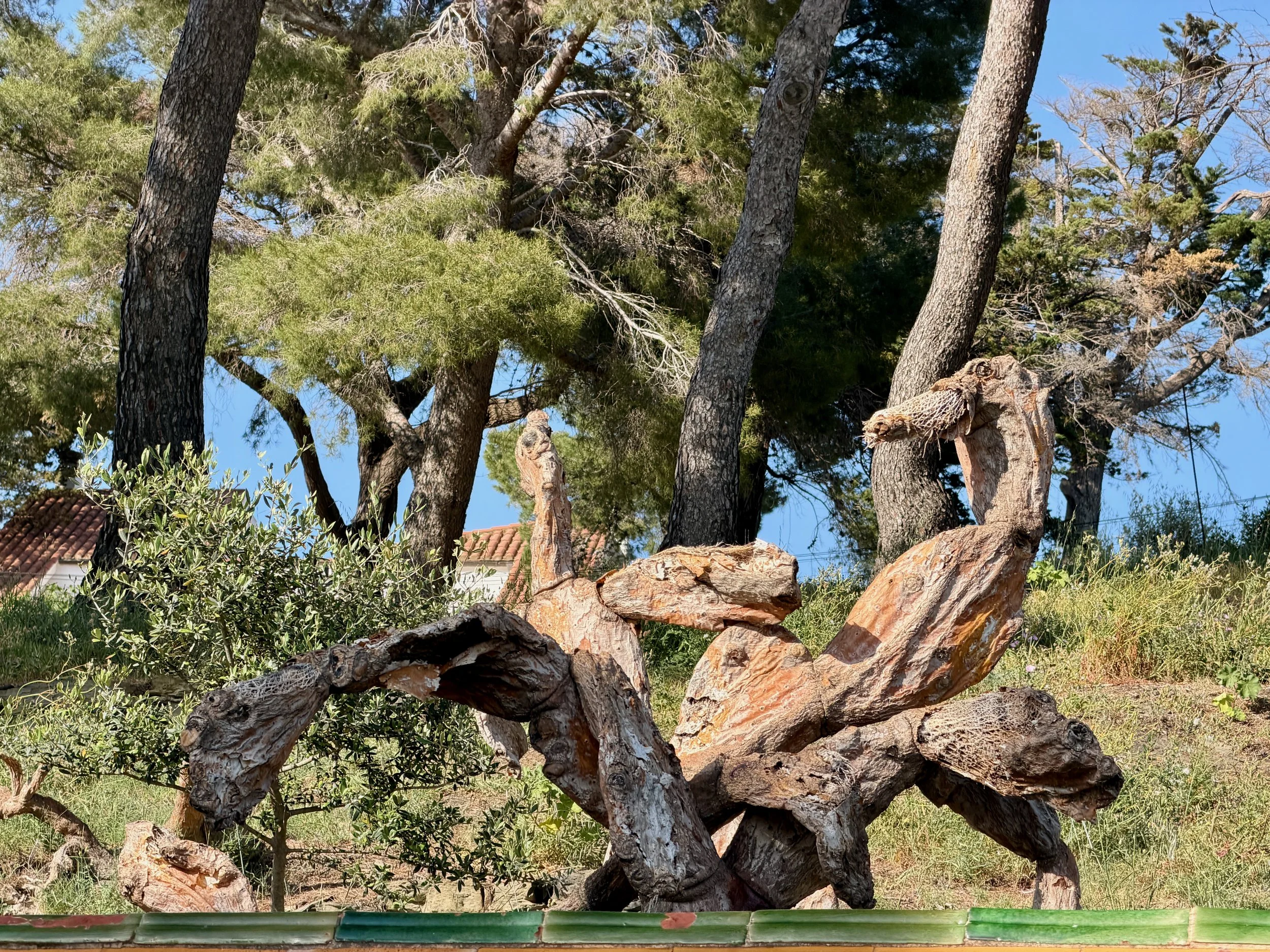 Tree Sculpture.jpeg