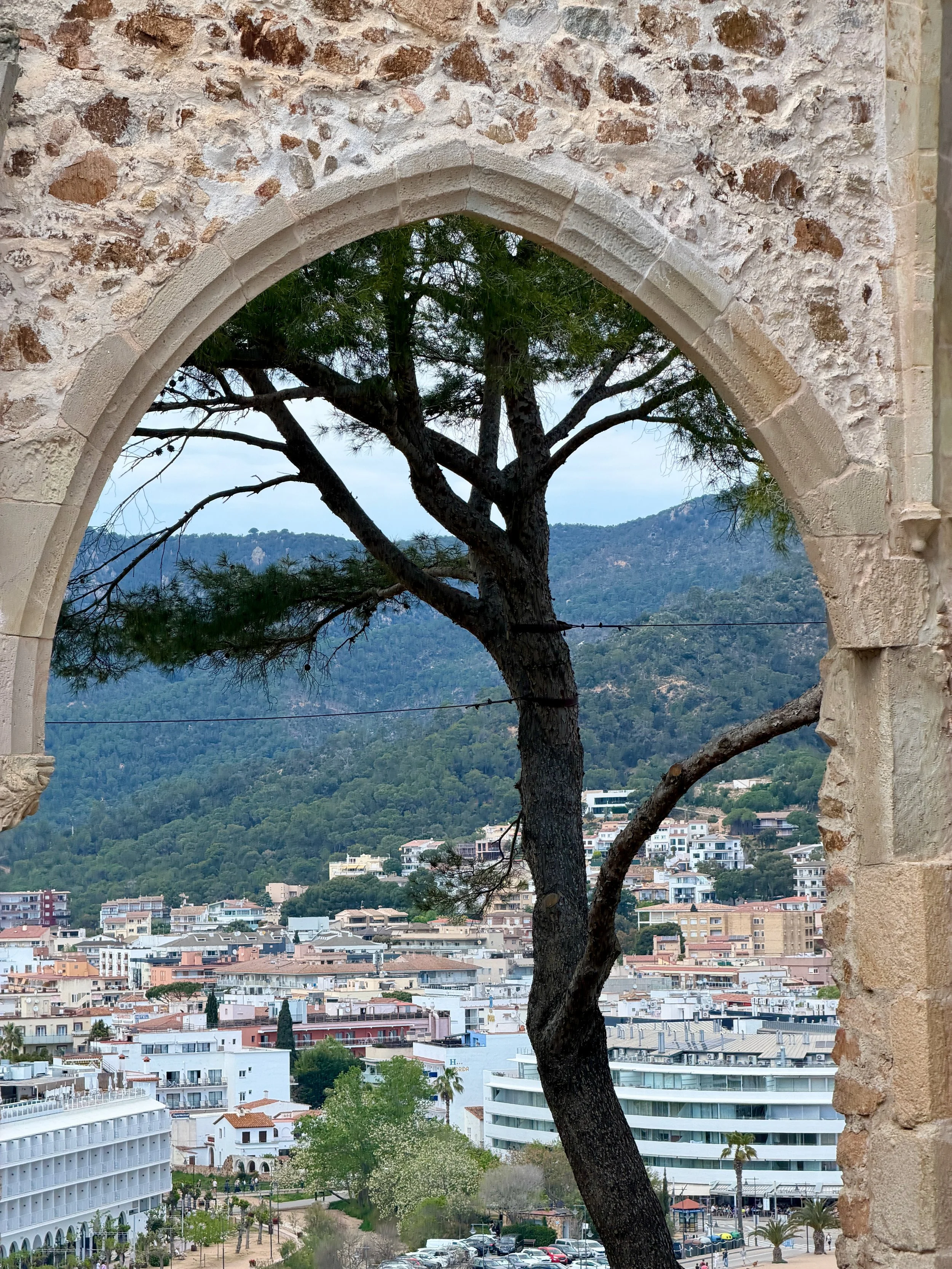 Tossa de Mar tree view.jpeg