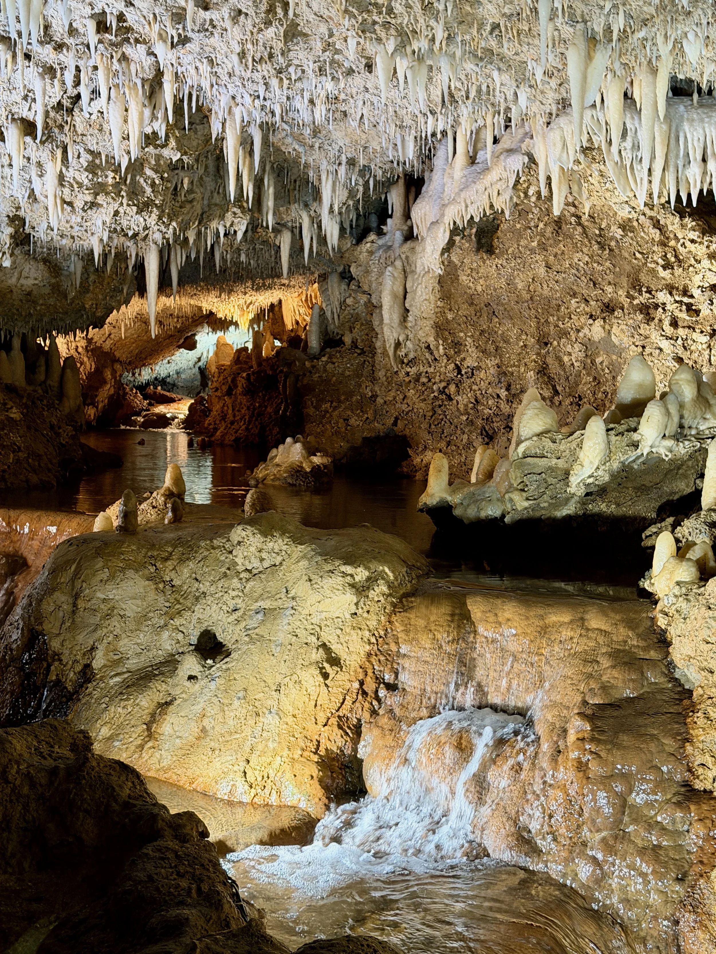 Waterfall in Harrison's Cave.jpeg