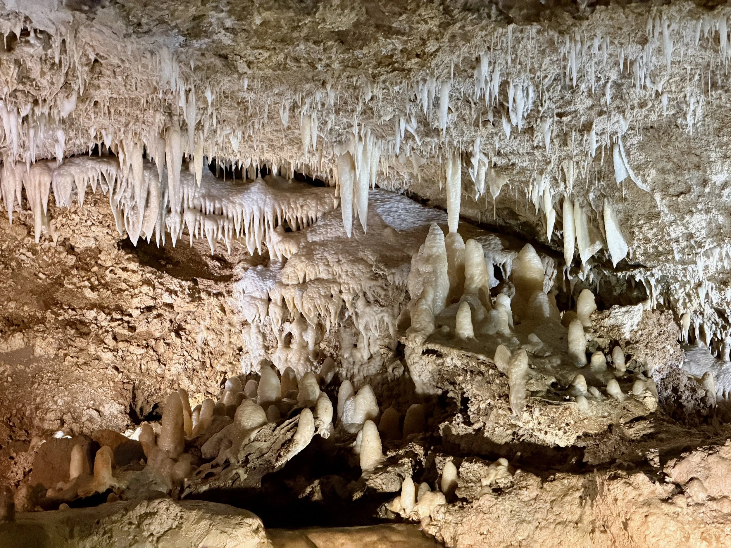 Stalactites in Harrison's Cave.jpeg