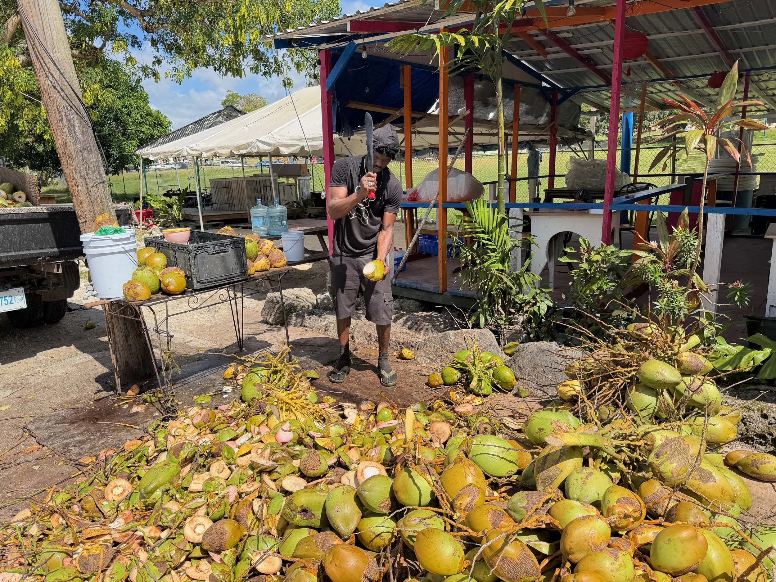Coconuts Holetown.jpeg