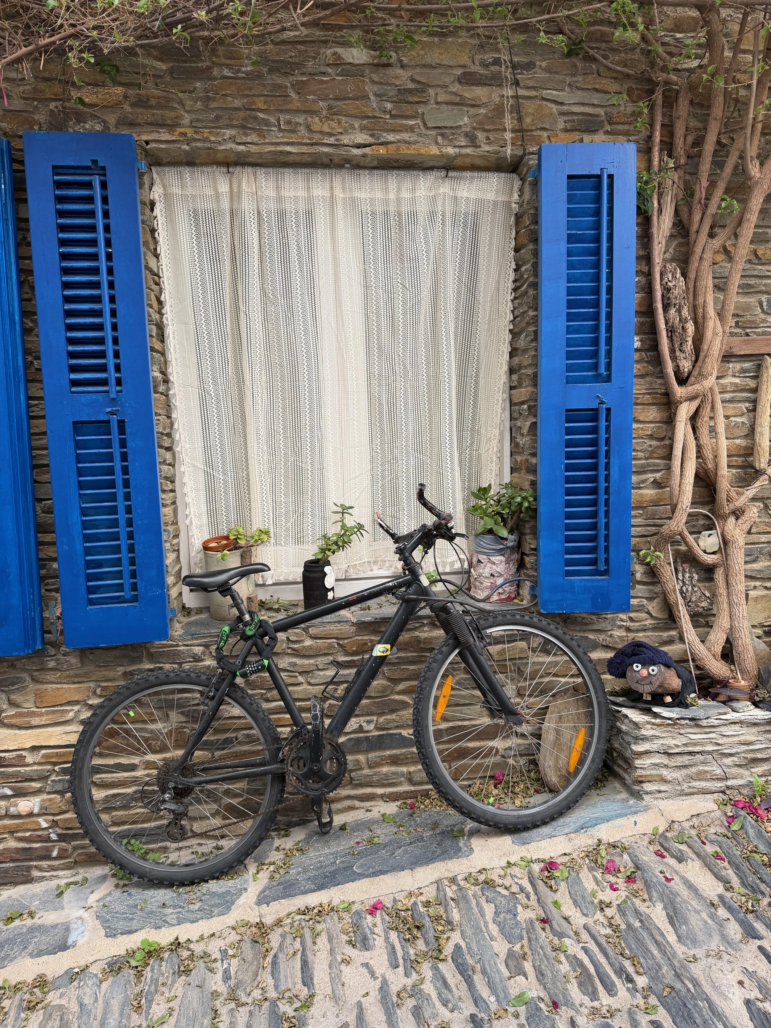 Bike with Blue Shutters.jpeg