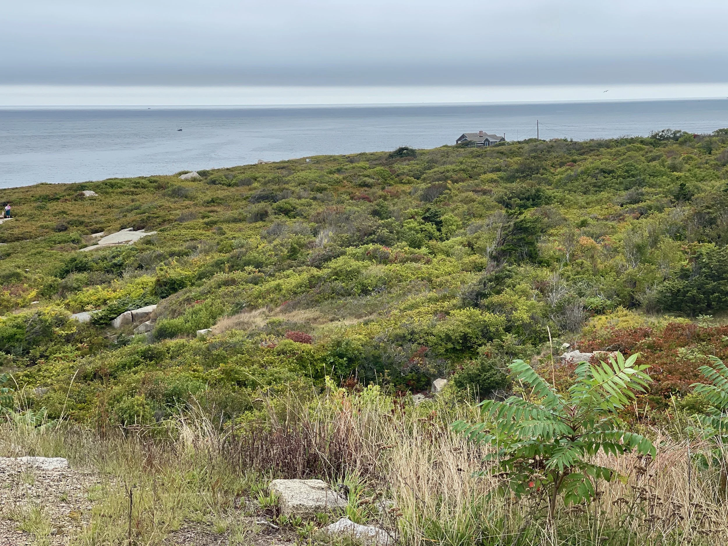Sky-Sea-Land Halibut Point State Park.jpeg