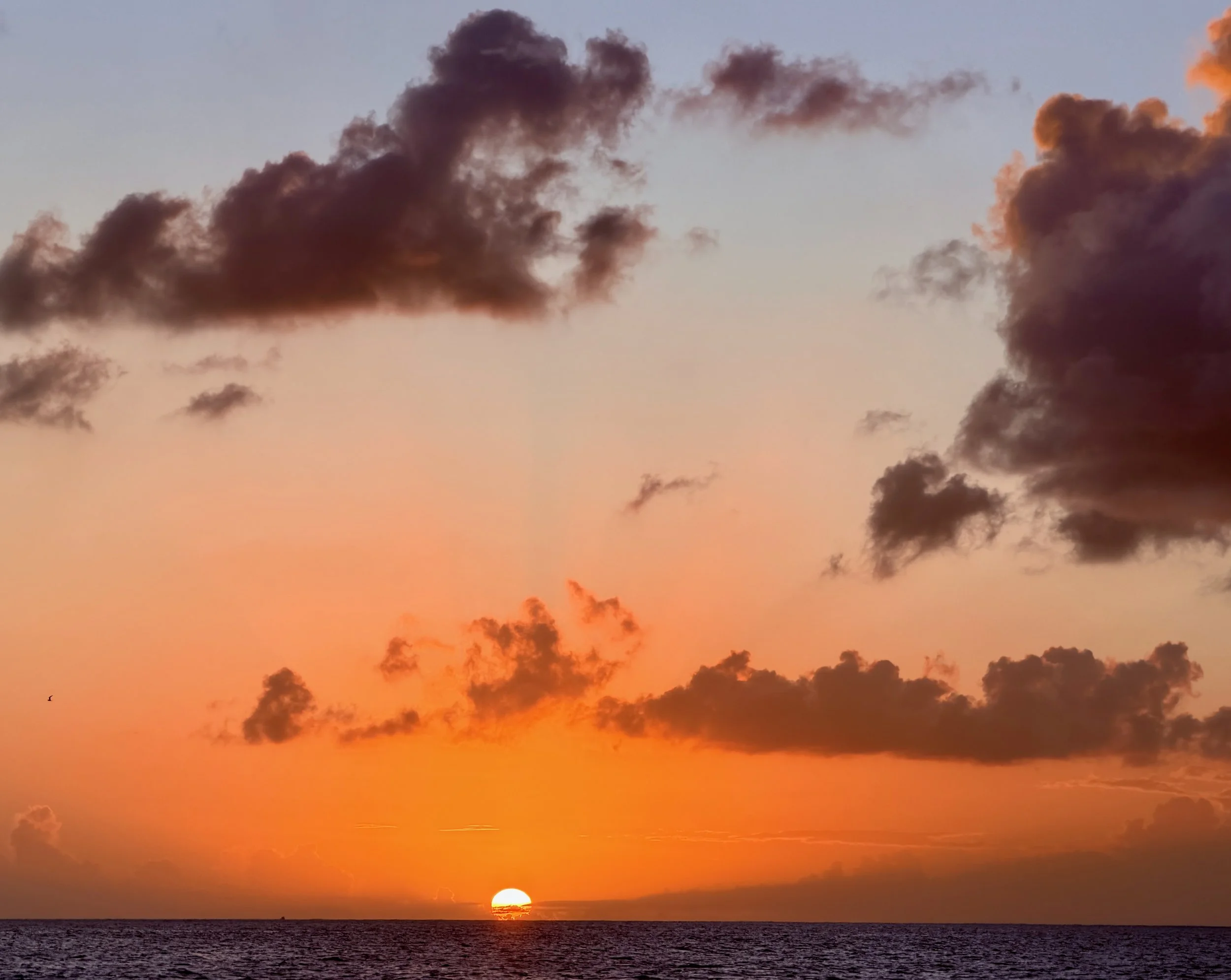 Orange Sunset.jpeg
