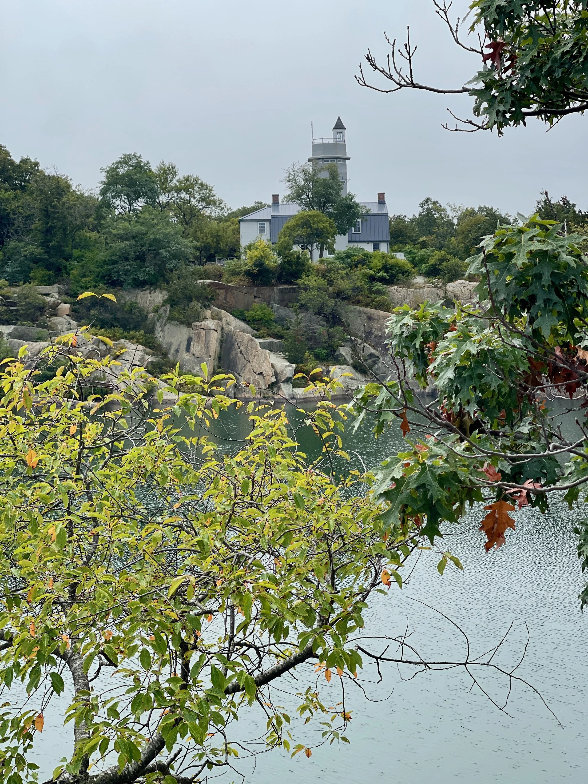 You Can't Fix Stupid.jpeg