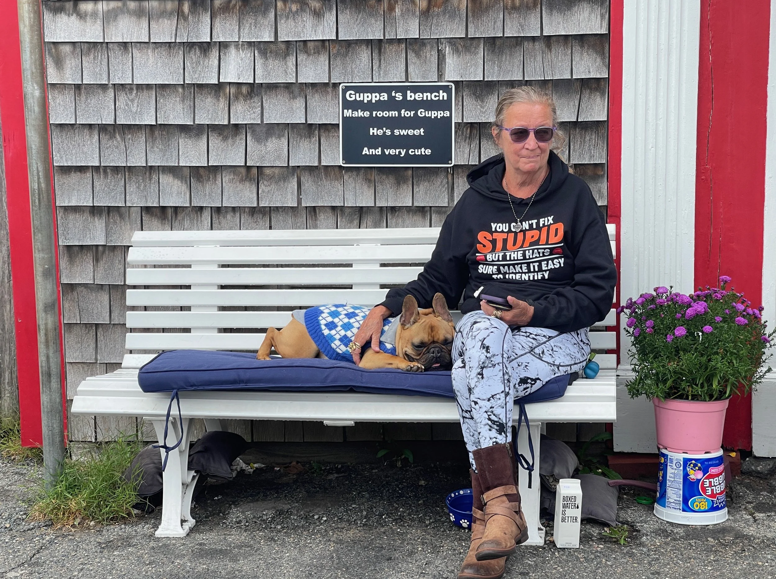 Halibut Point State Park fall foliage.jpeg