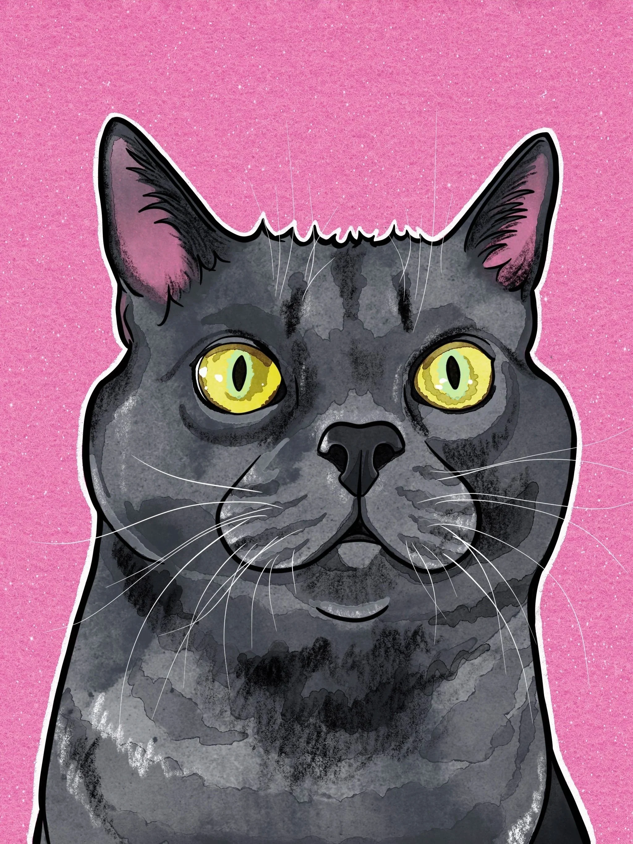 Digital illustration of a grey cat with yellow eyes against a pink background.