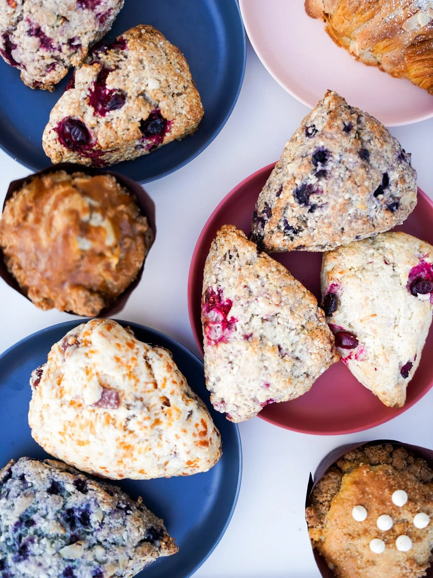 Whole wheat or white? Don&rsquo;t worry, we&rsquo;ve got both. Be sure to try our scones on your next stop (they go reallllllly well with a cup of coffee 😉)