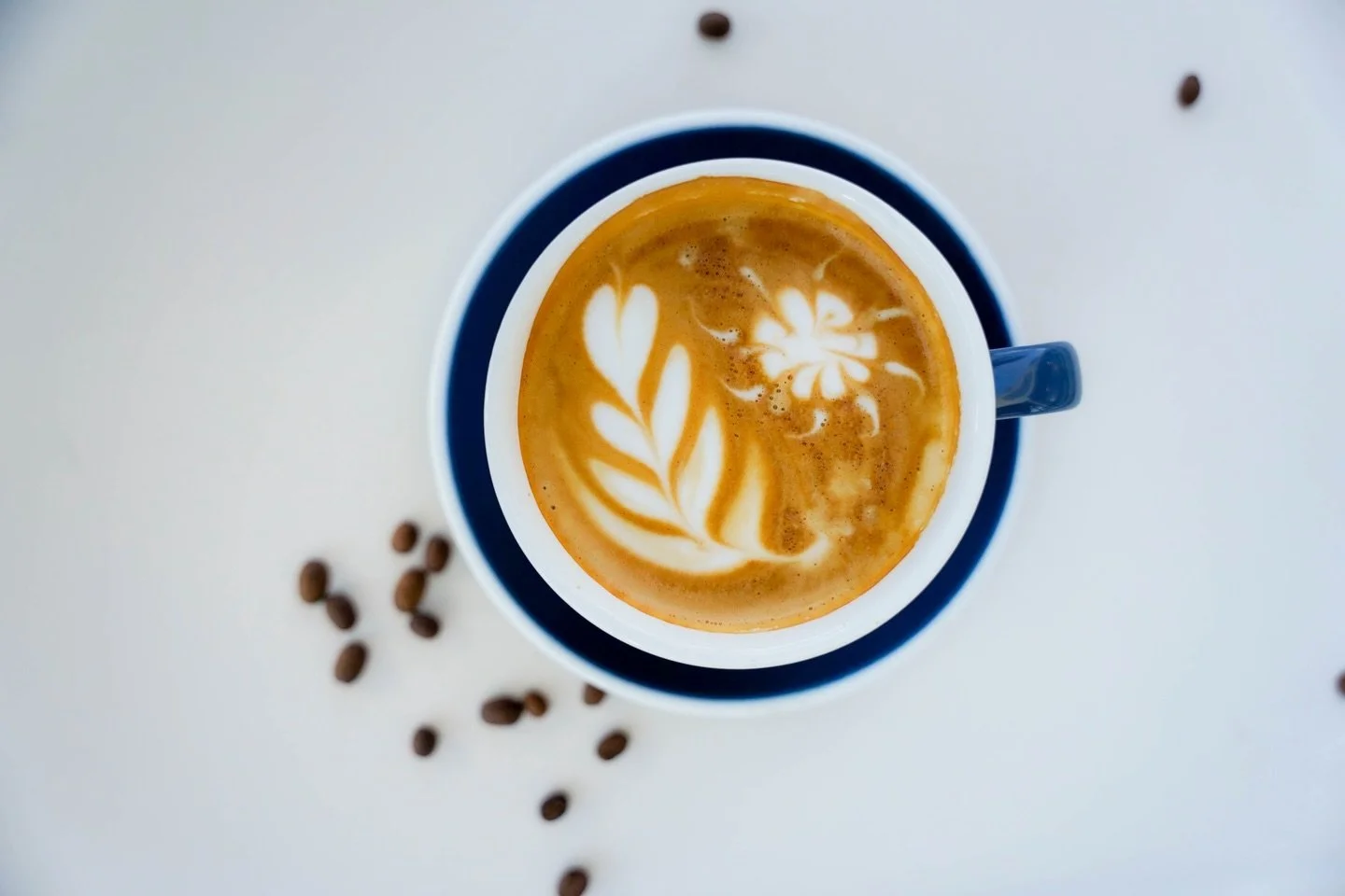 And somehow, the historic cold snap has come to a close. We&rsquo;re open at our shops on Main and Hawkins for wherever your winter adventure takes you- now that you can comfortably leave the house ☕️