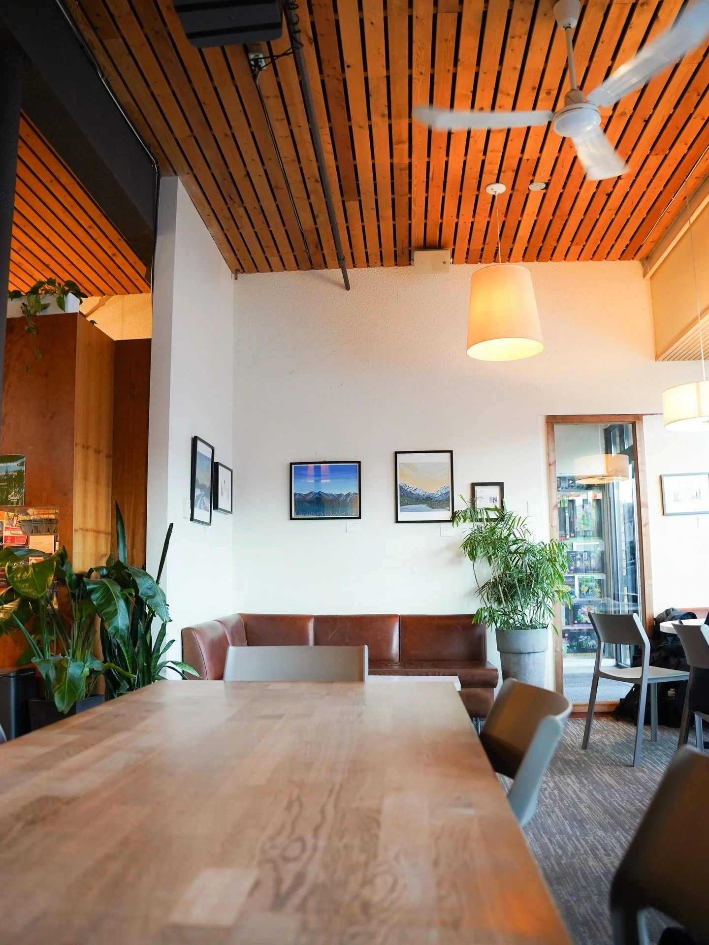 Looking for a place to relax, have good coffee, meet up with a friend or get some work done? You can find us at our shop on Main or Hawkins from Monday- Saturday 😌💛☕️