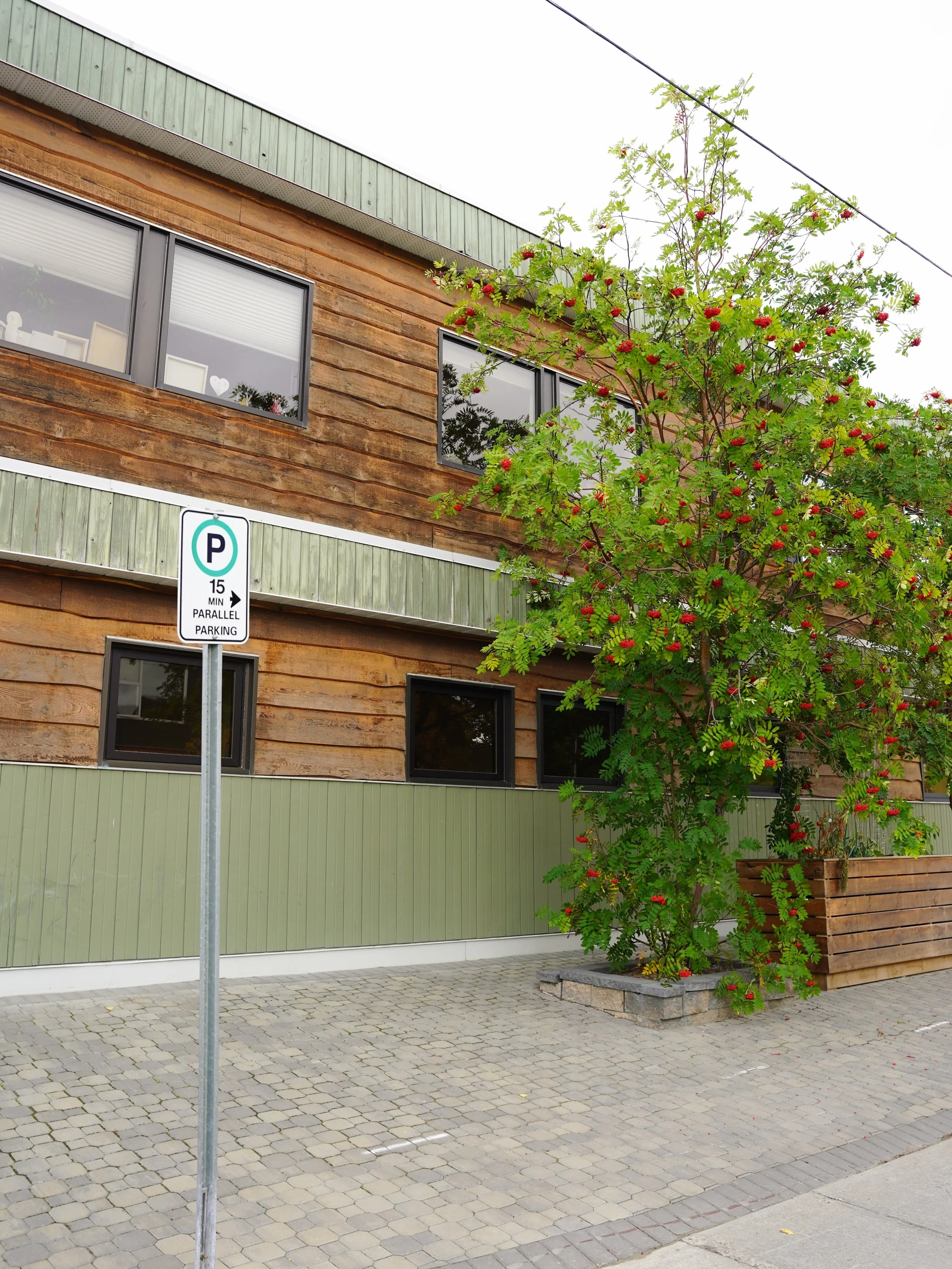 Just a reminder that riiight down the street from our shop on Hawkins there is free 15 minute parallel parking. Just enough time to grab a coffee to-go or some of our soft serve matcha ice cream 👀💚
