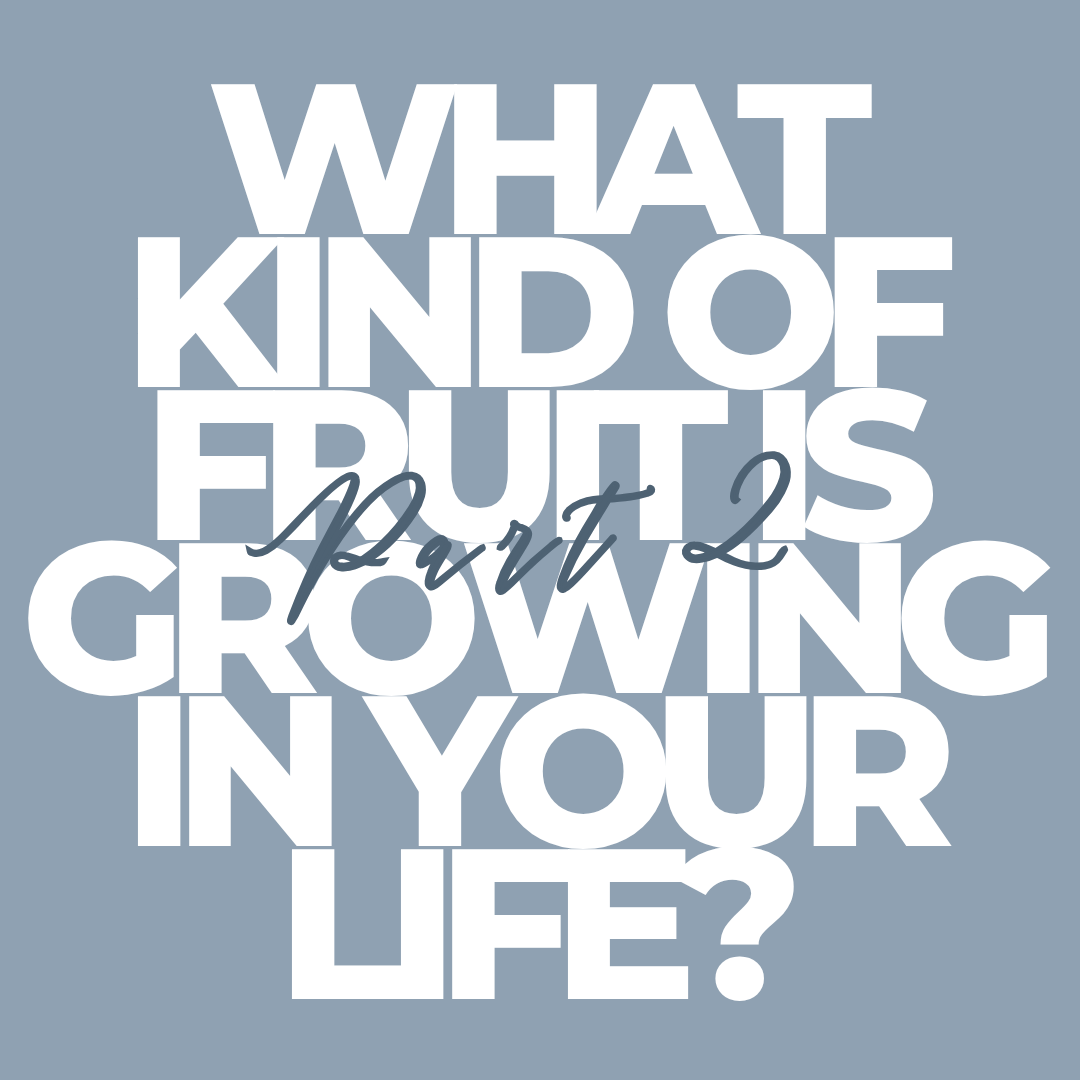 What Kind of Fruit is Growing in Your Life? Part 2
