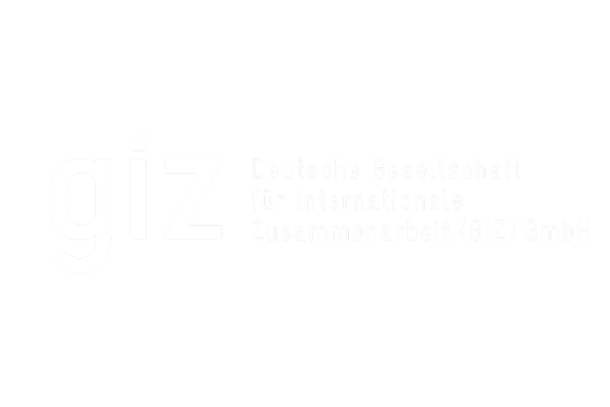 giz company logo