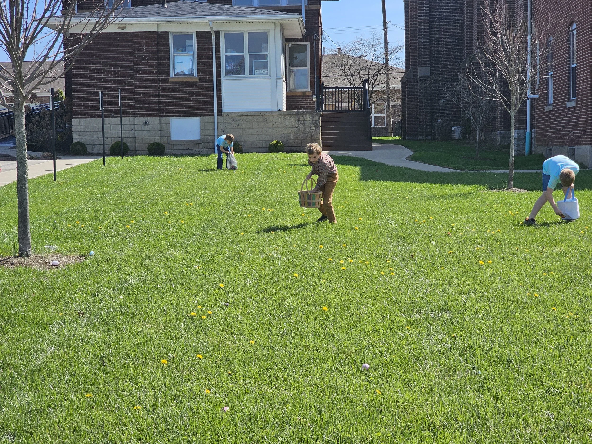 20260329_121404_Original.jpeg