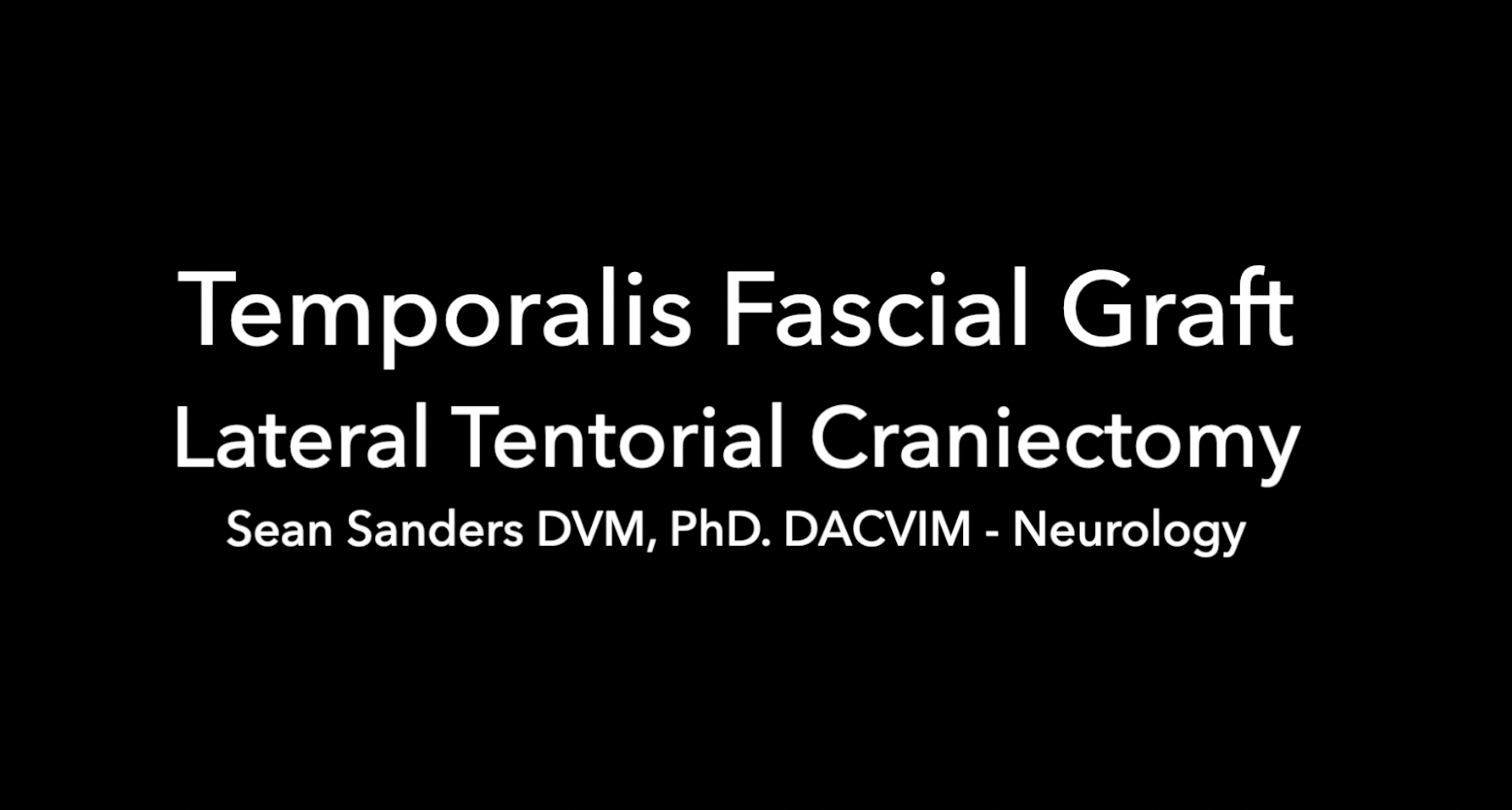 Screenshot 2026-04-01 at 9.08.48 AM.png