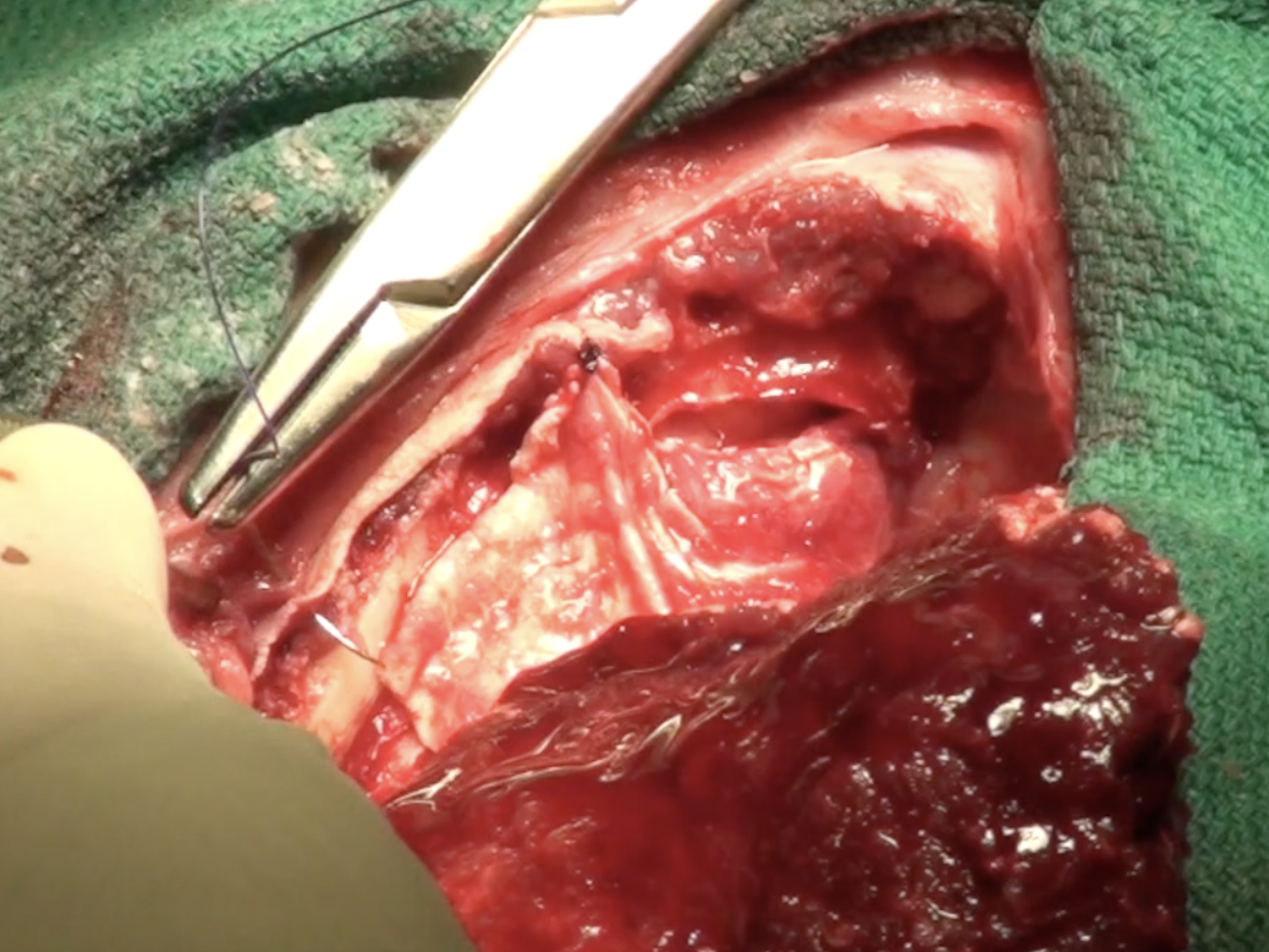 Screenshot 2026-04-01 at 9.10.16 AM.png