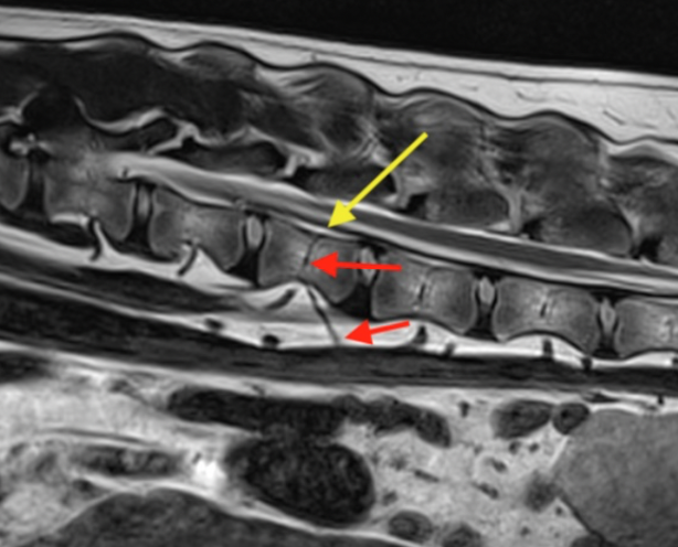 Screenshot 2026-04-07 at 7.31.48 AM.png