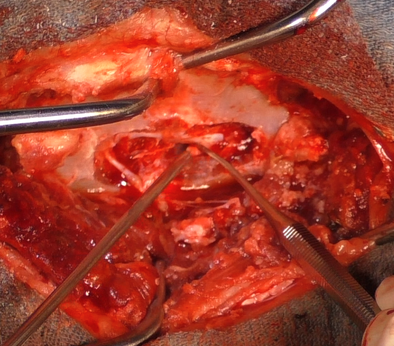 Screenshot 2026-04-07 at 7.33.32 AM.png