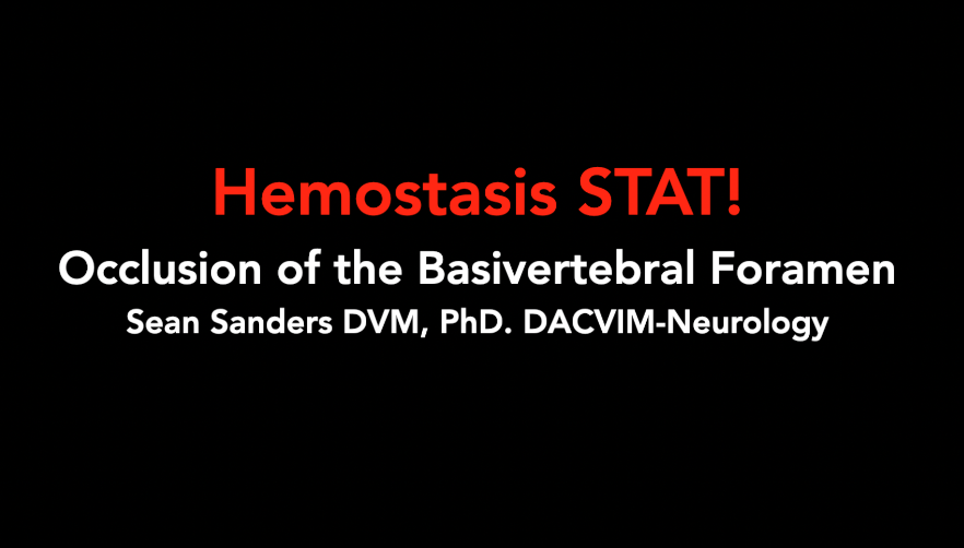 Occlusion of the Basivertebral Foramen
