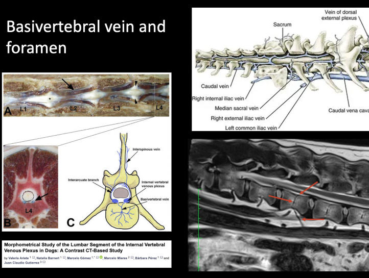 Screenshot 2026-04-07 at 7.32.33 AM.png