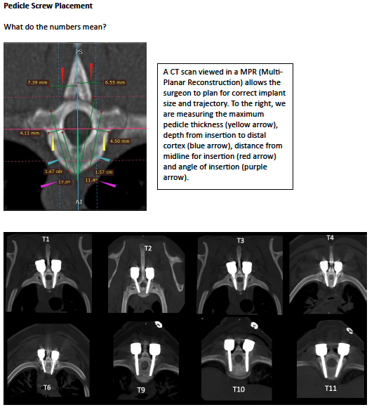 Screenshot 2026-02-16 at 6.34.49 PM.png