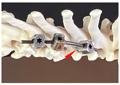 Screenshot 2026-02-16 at 6.41.11 PM.png