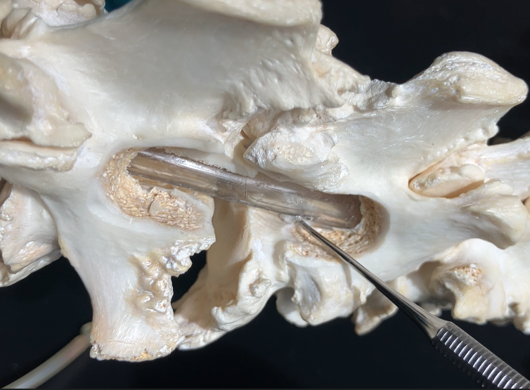 Screenshot 2026-04-07 at 7.32.50 AM.png