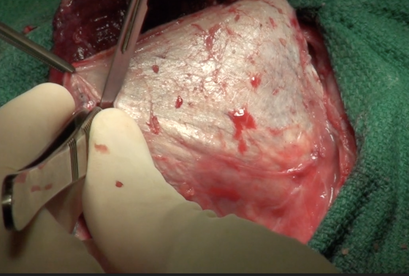 Screenshot 2026-04-01 at 9.09.35 AM.png