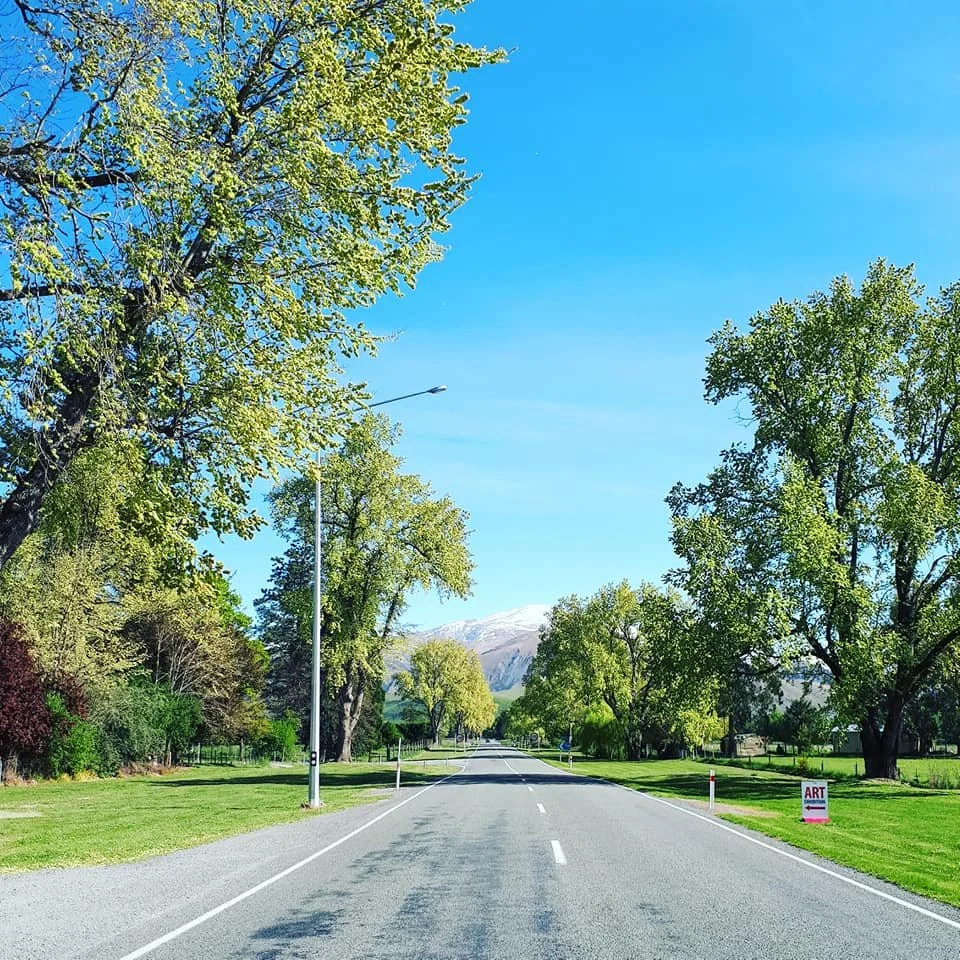 THE QUIET POWER OF NEW ZEALAND LANDSCAPE ART: WHY COLLECTORS ARE DRAWN TO THE SOUTH ISLAND