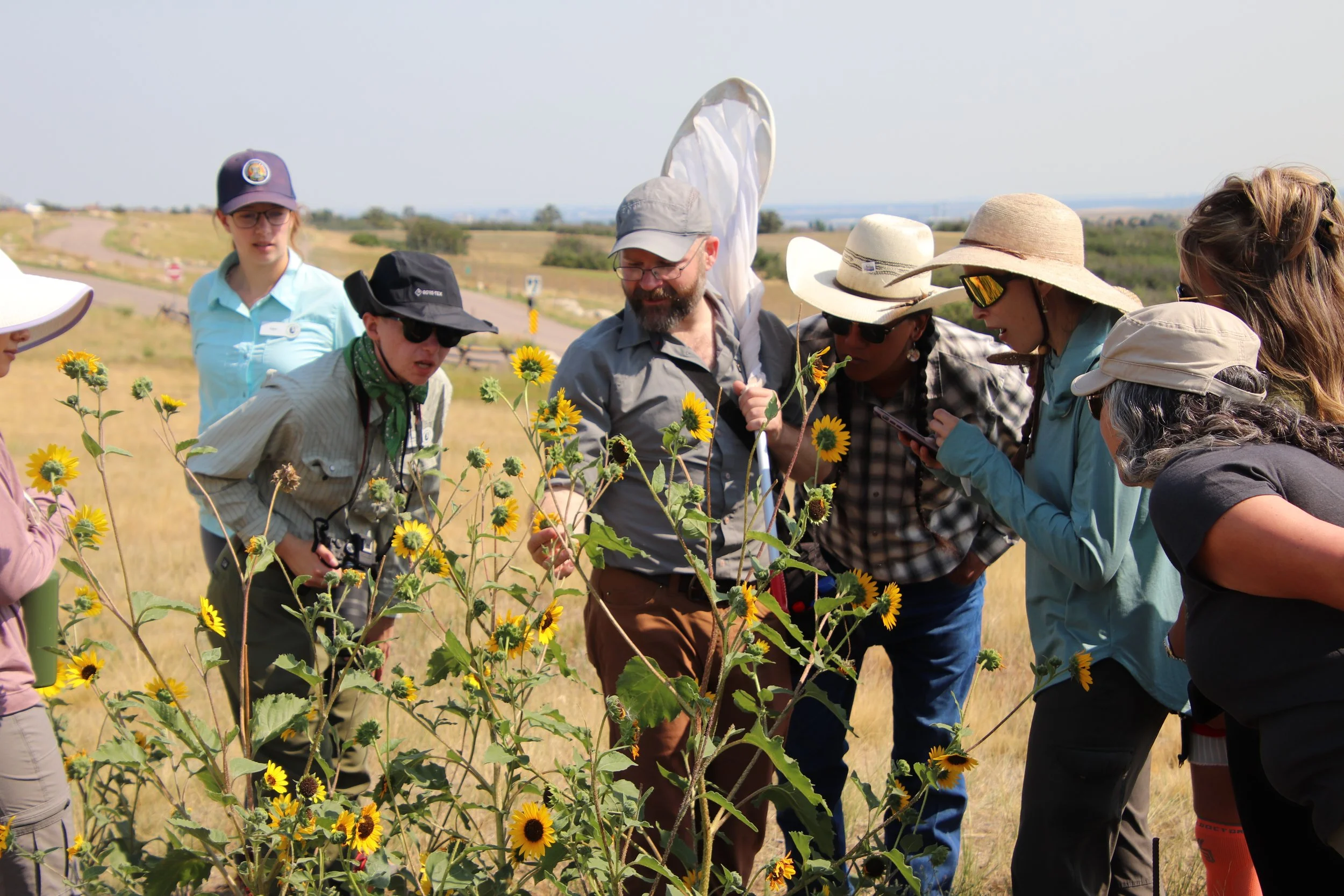 Examining native plants at Daniels Park Medicine Wheel Garden