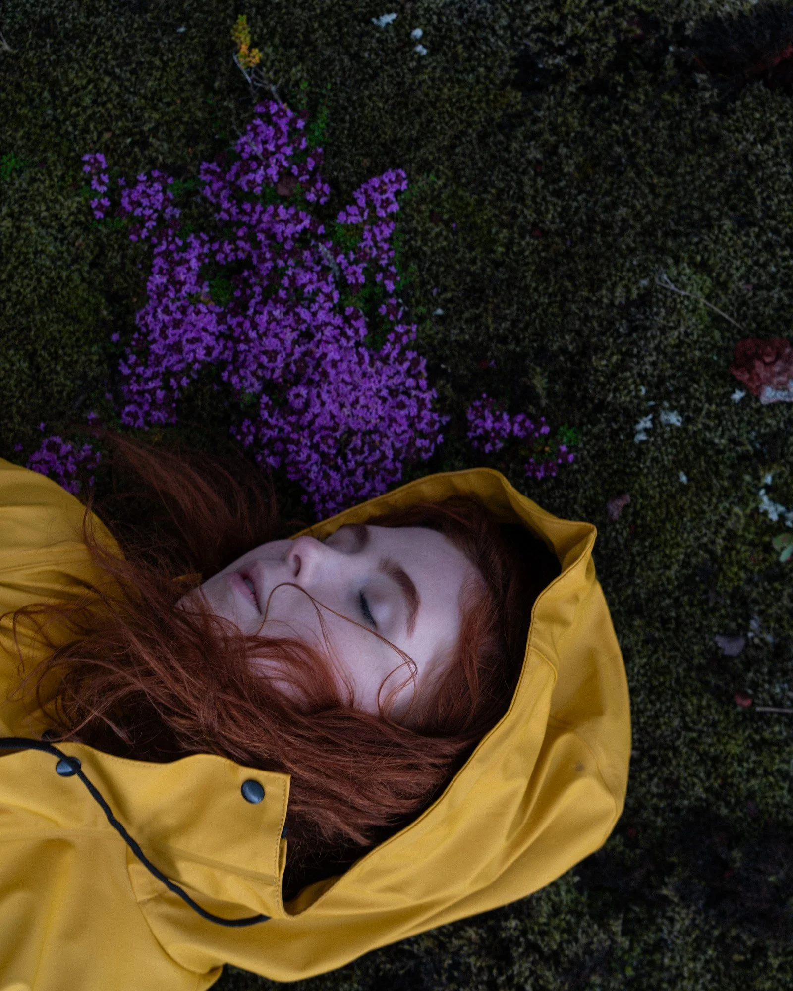 test images one website-LE2000px-10.jpg