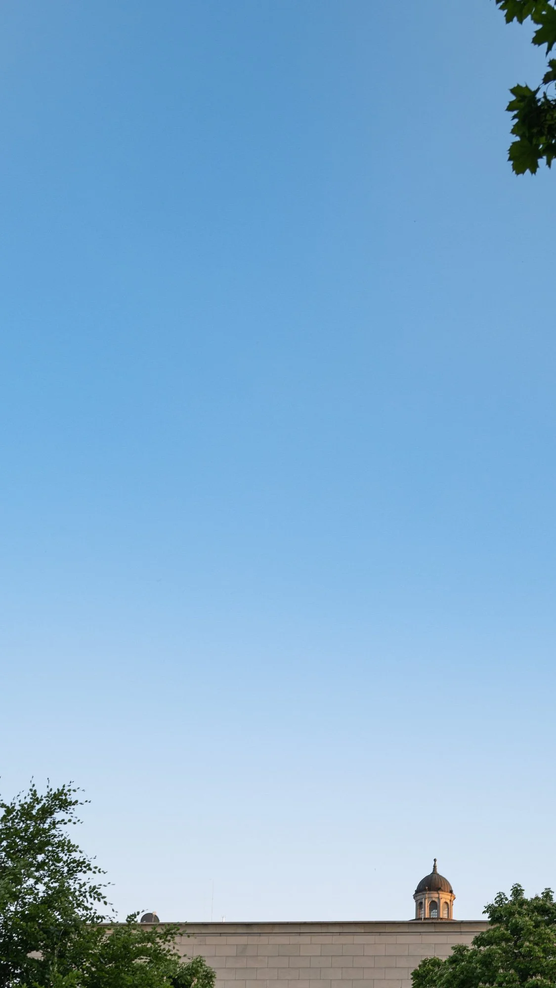 phone backgrounds-4.jpg